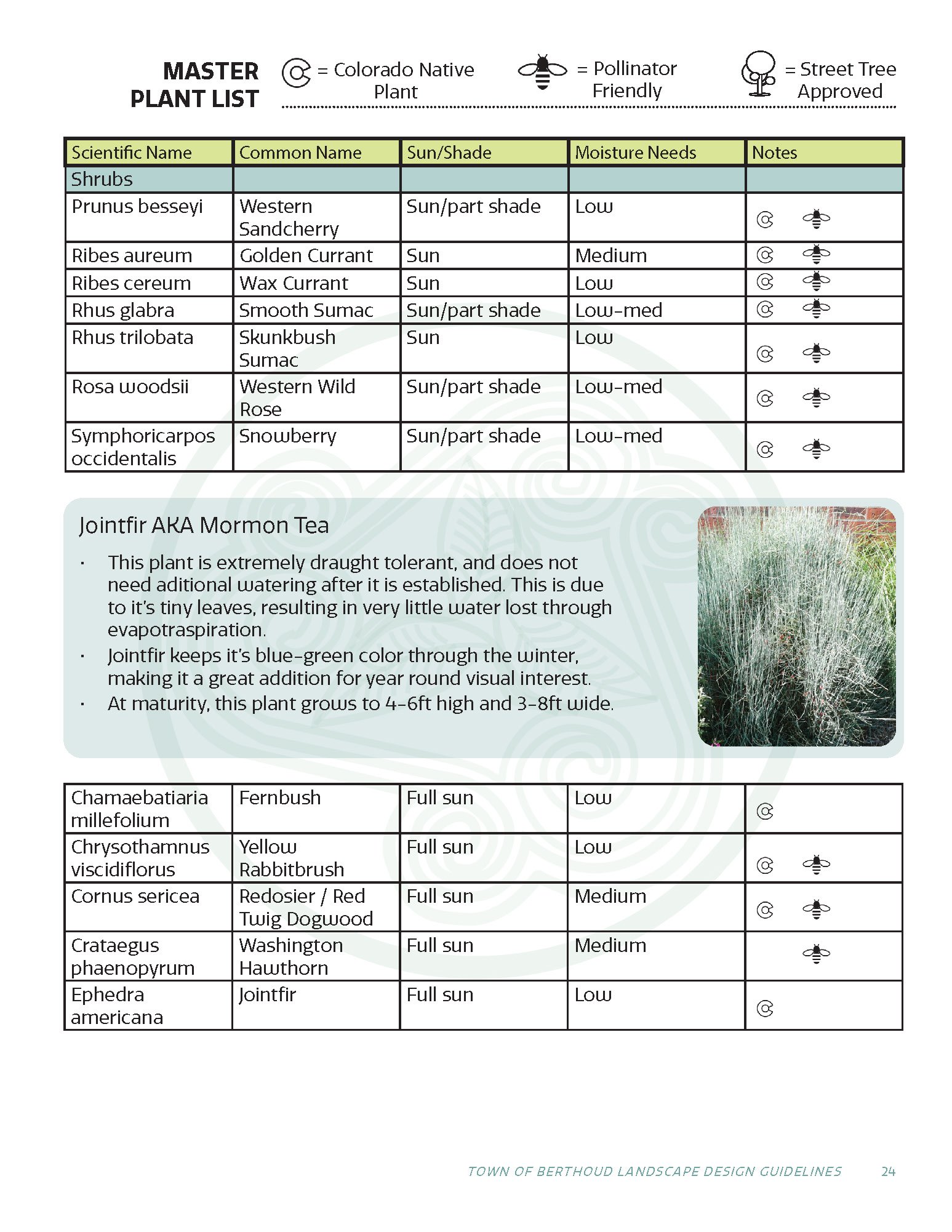 2023.12.04_Landscape Guidelines_Page_11.jpg