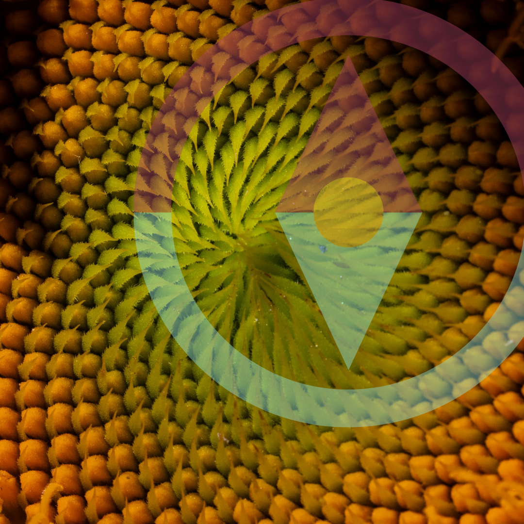 14.png
