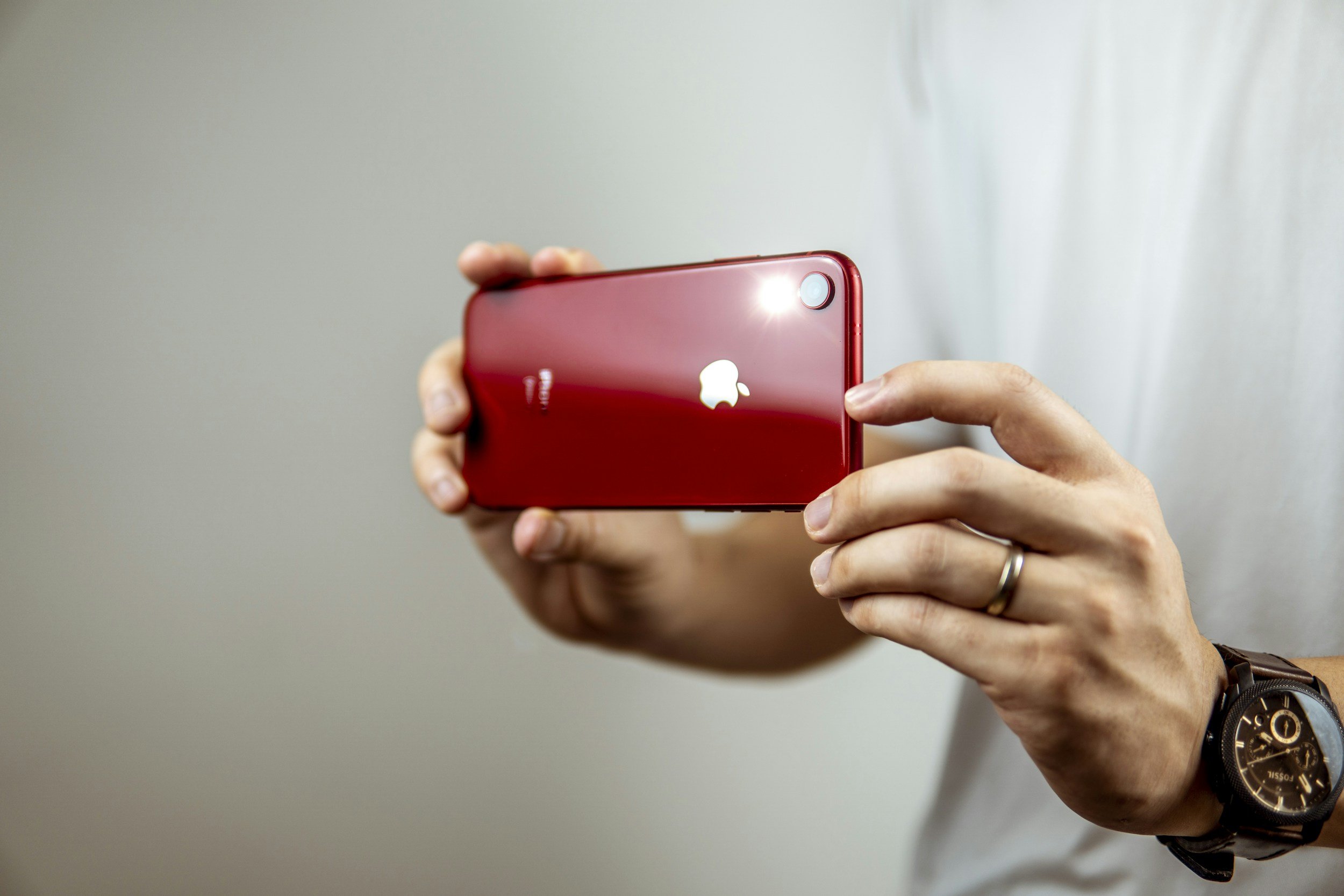 Choosing the Perfect Location for Your Pet's Photoshoot