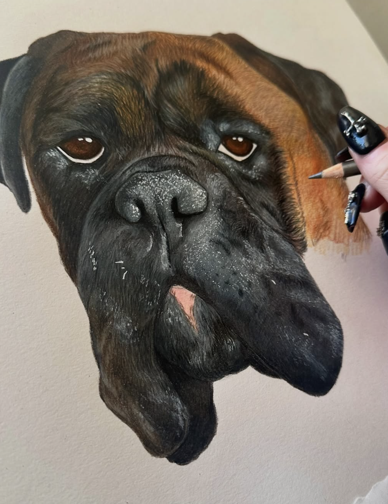 Screenshot 2026-01-11 at 12.01.16.png