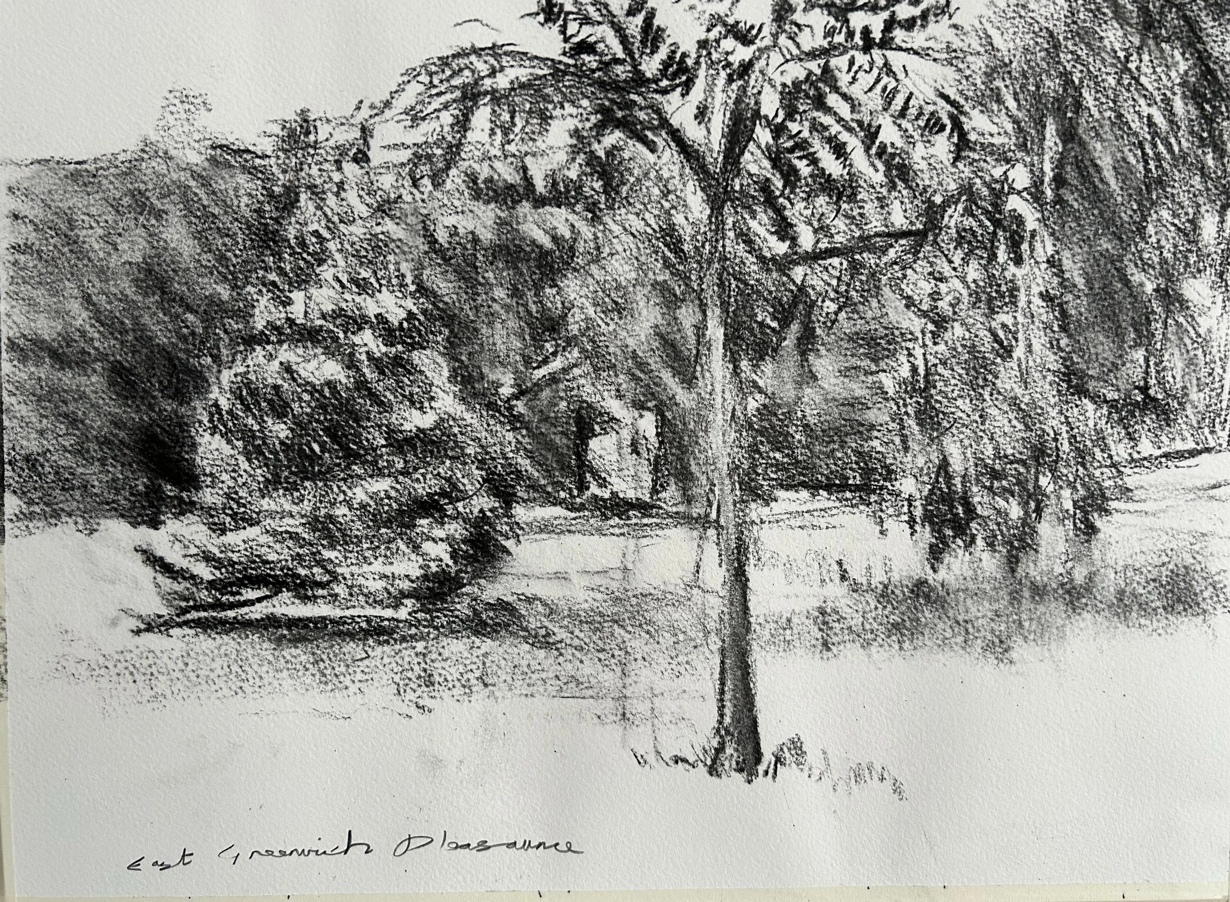 East Greenwich Pleasaunce, charcoal on paper, 2024.