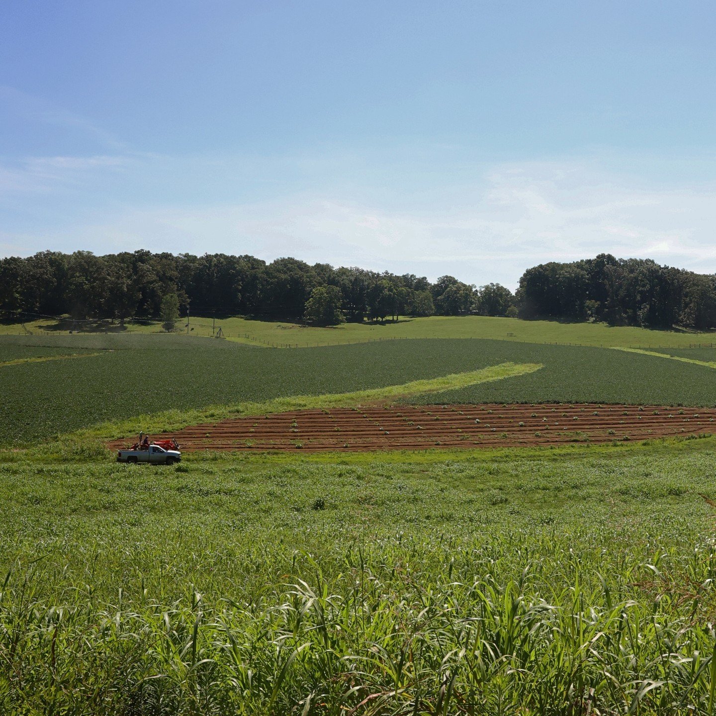 Rise and Shine! ☀️ Black Hawk Farms is up and ready to do what we do best &ndash; bringing you top-quality products.⁠
⁠
Haven't had a chance to try us out yet? Check out our retail partners @feedtheparty and @wulfsfish to get our products delivered r