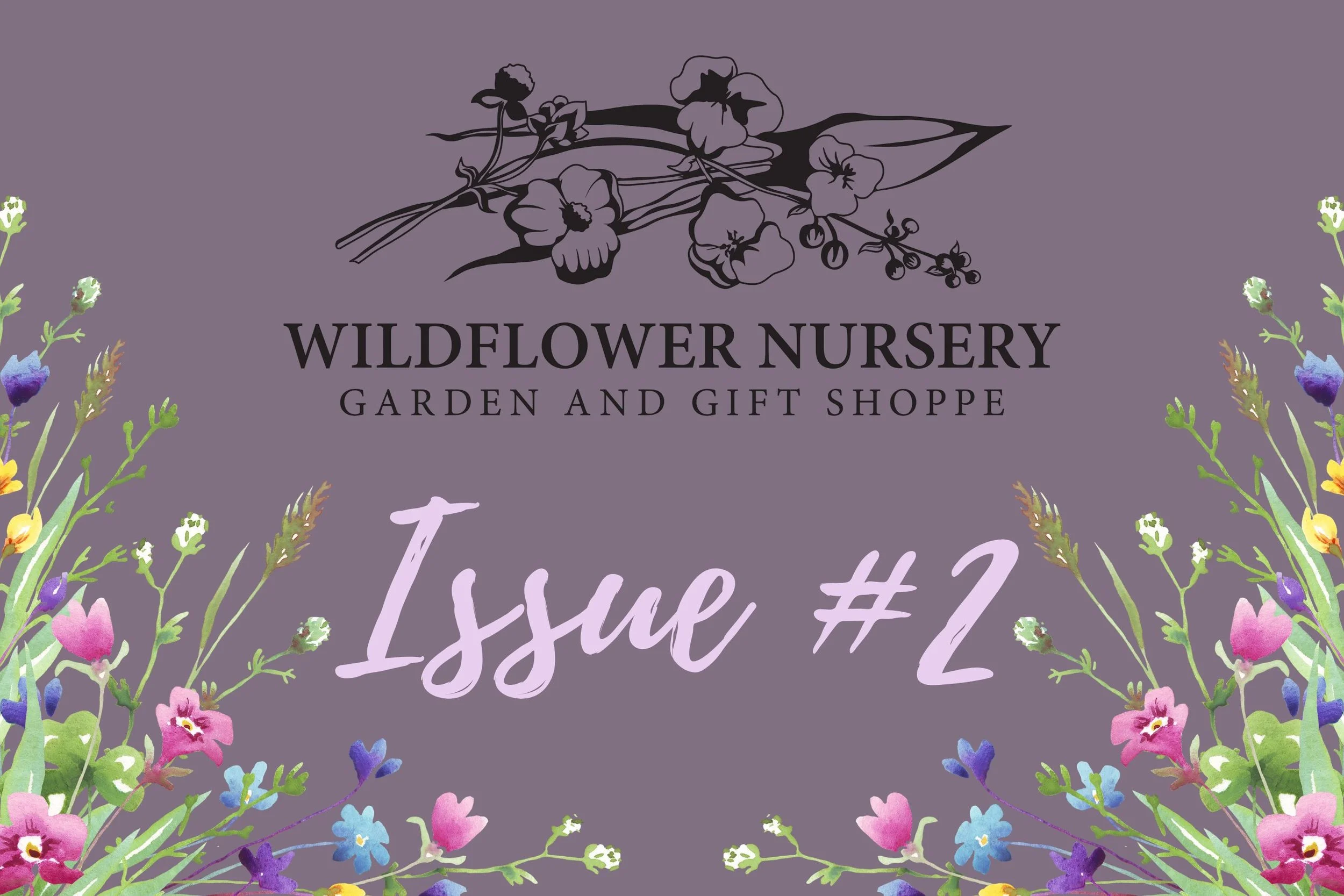Issue #1 (1).jpg