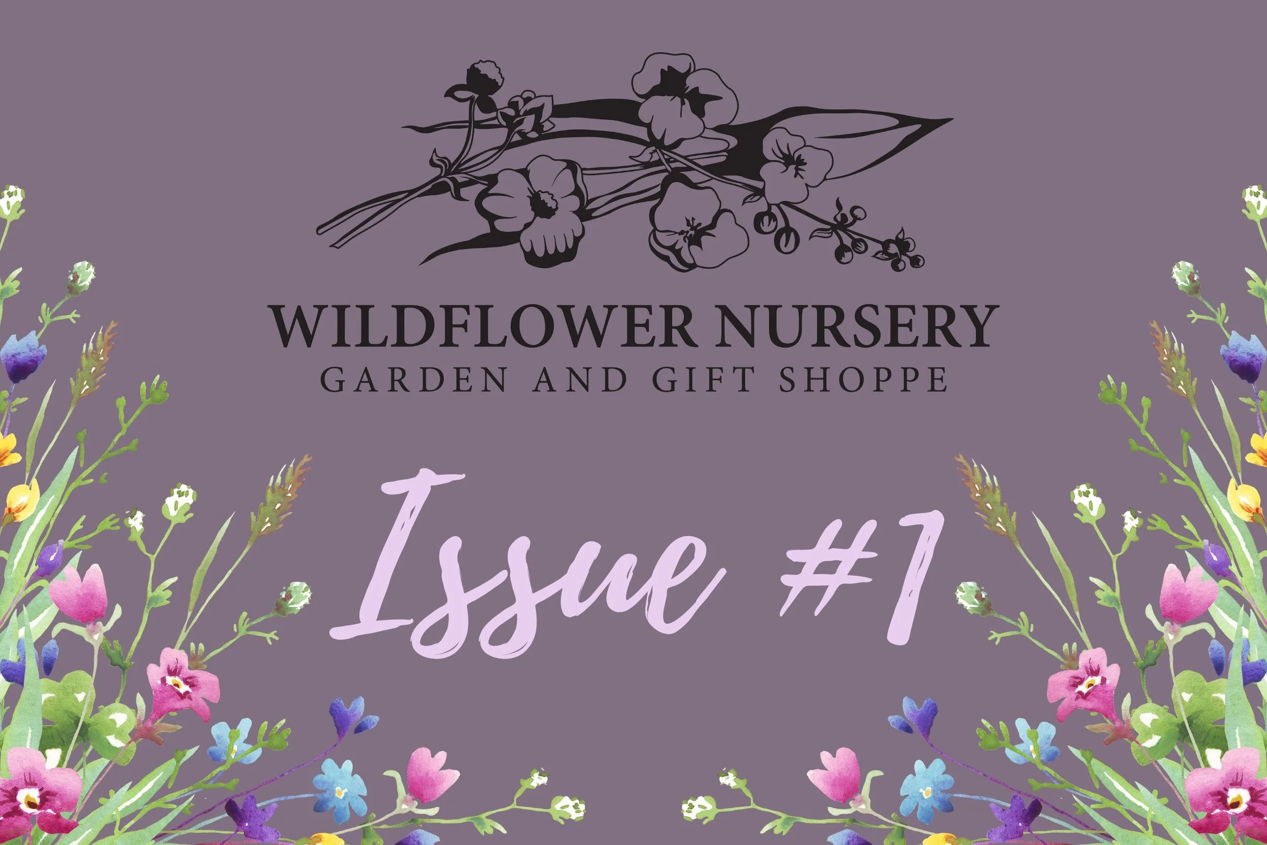 Issue #1.jpg