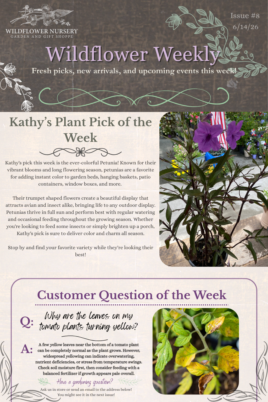 Wildflower Weekly.png