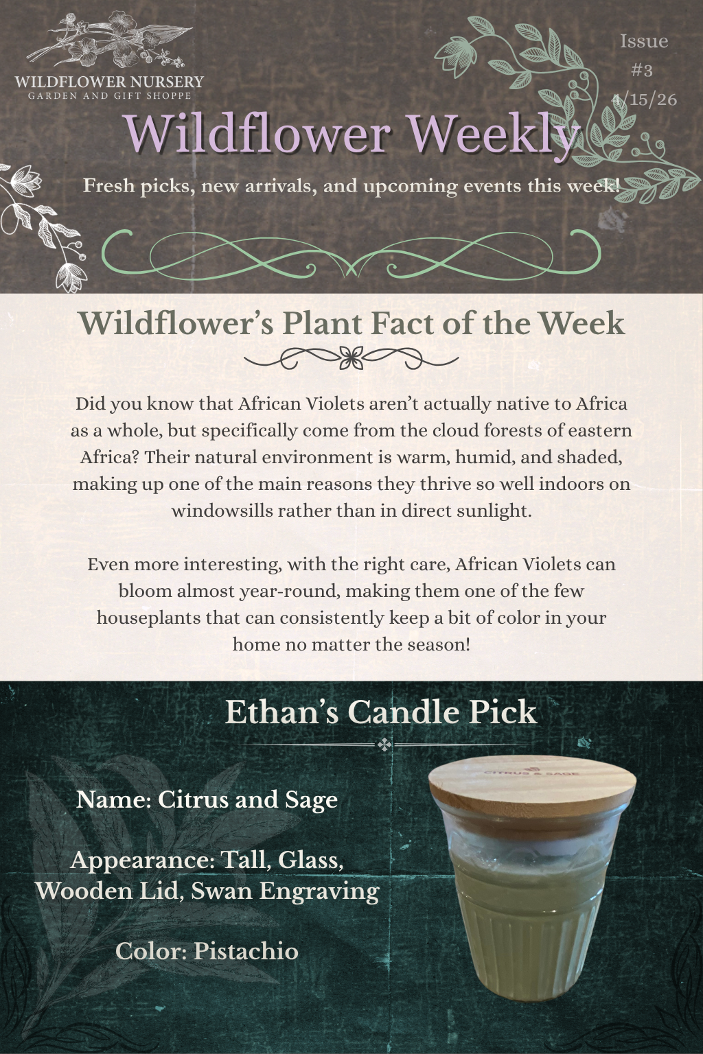 Wildflower Weekly - Wildflower Weekly (1).PNG