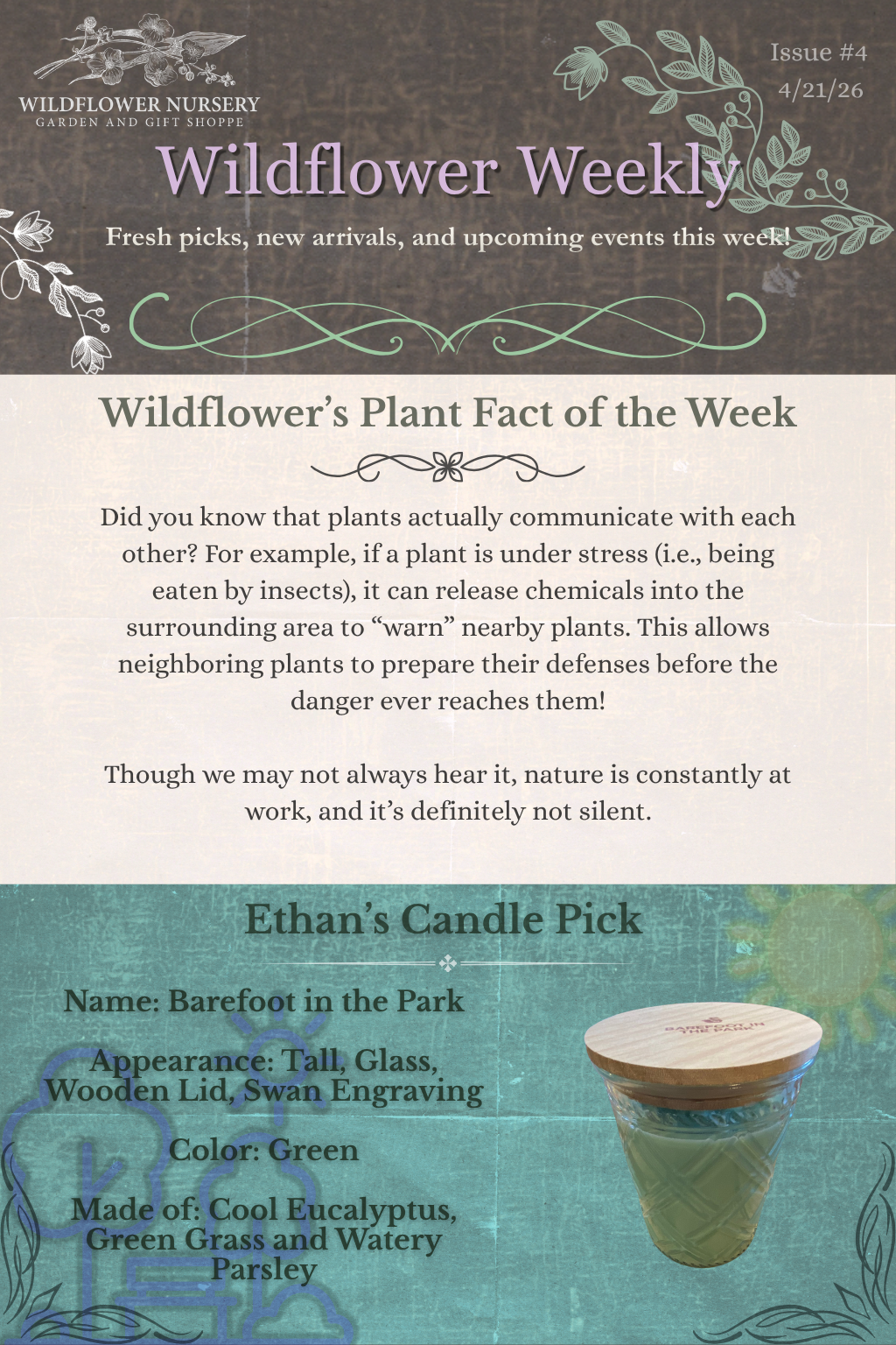 Wildflower Weekly.png