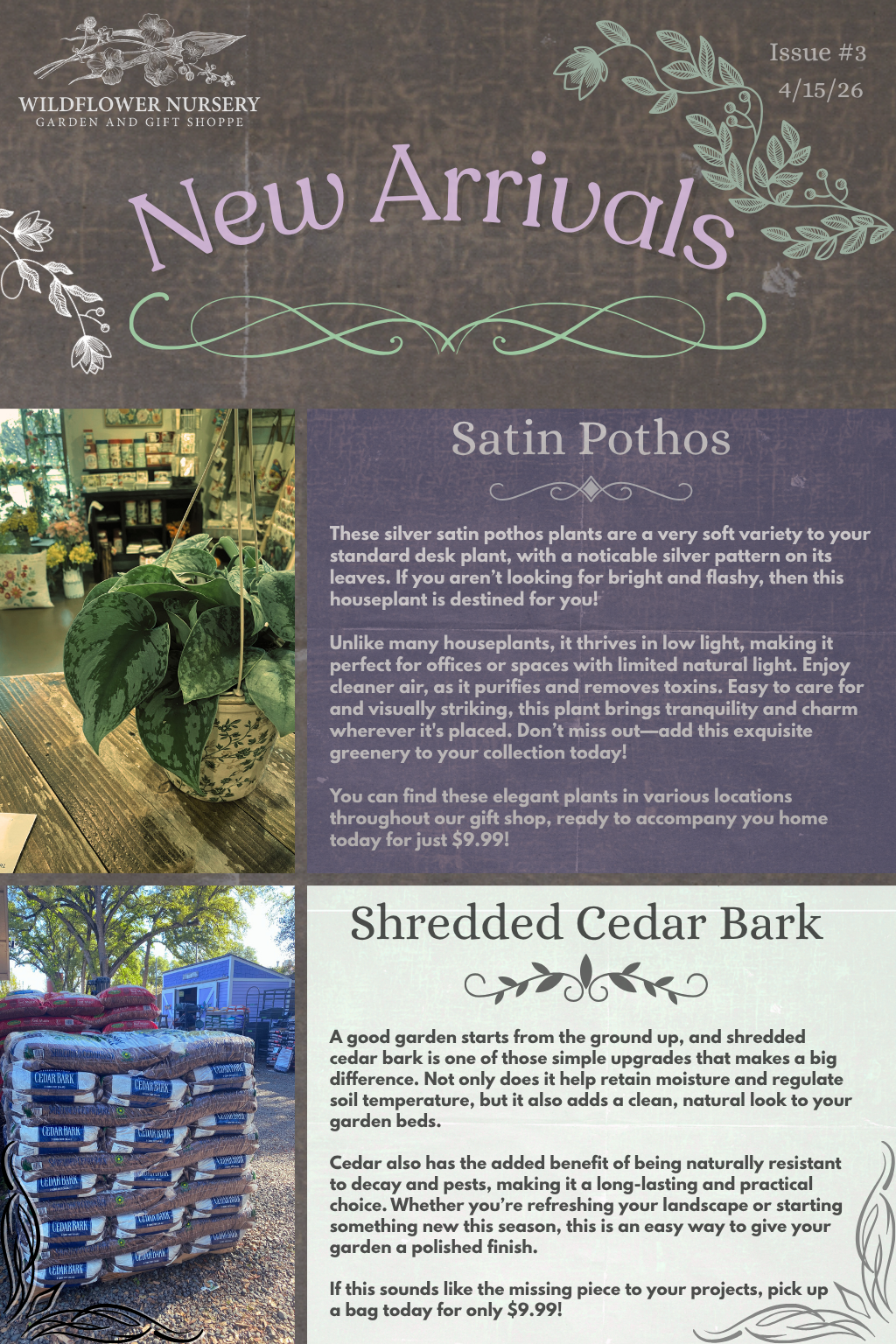 Wildflower Weekly - New Arrivals (1).PNG