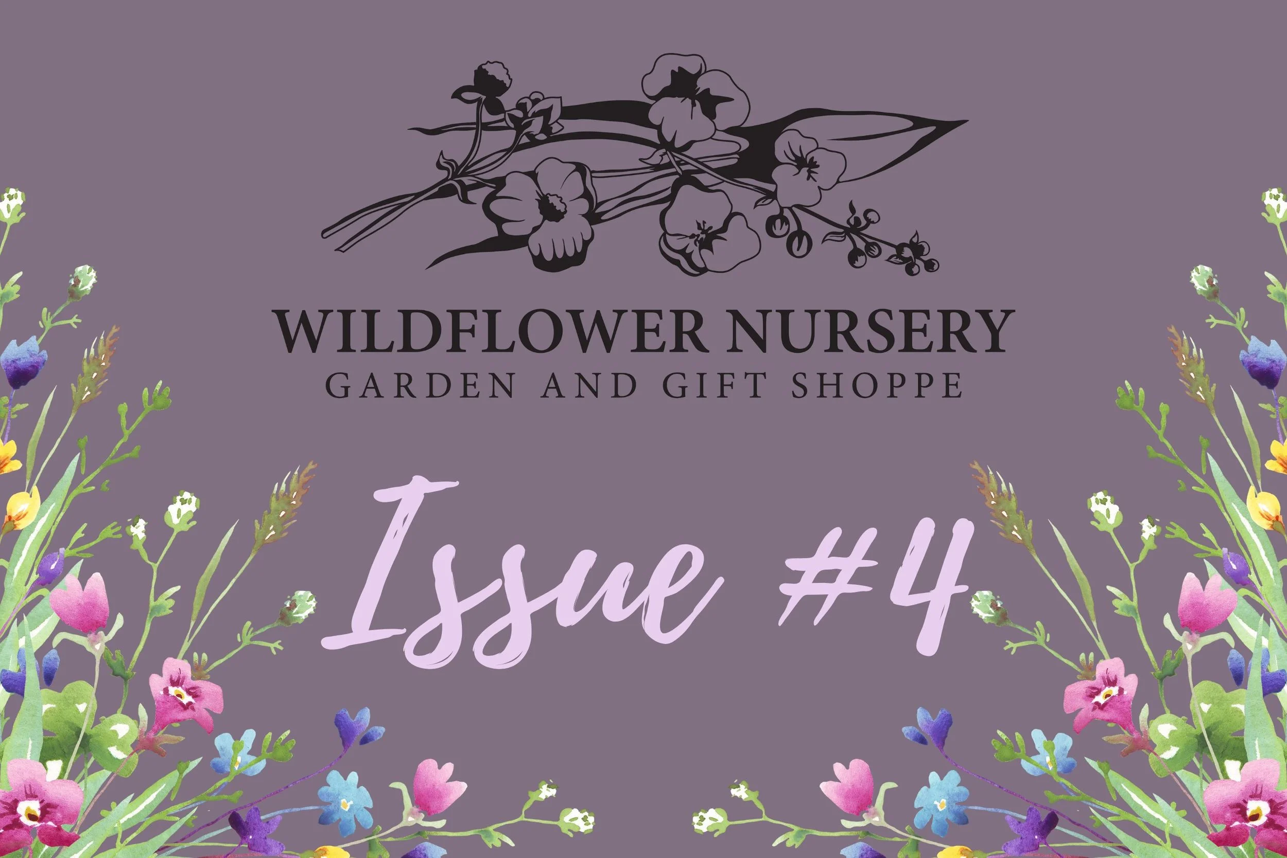 Issue #1 (3).jpg