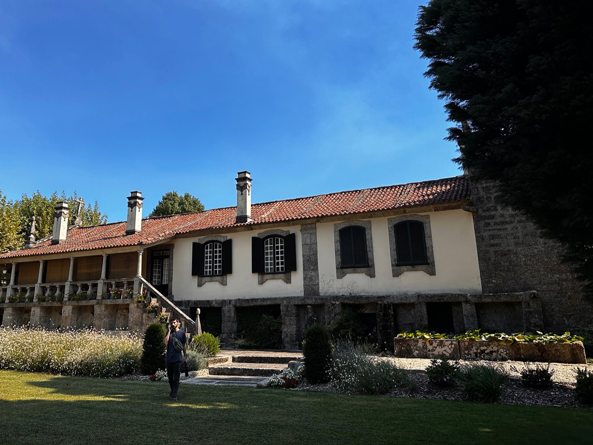 Vindimar na Casa de Vila Nova