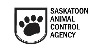Saskatoon Animal Control Agency logo with a black paw print inside a shield shape