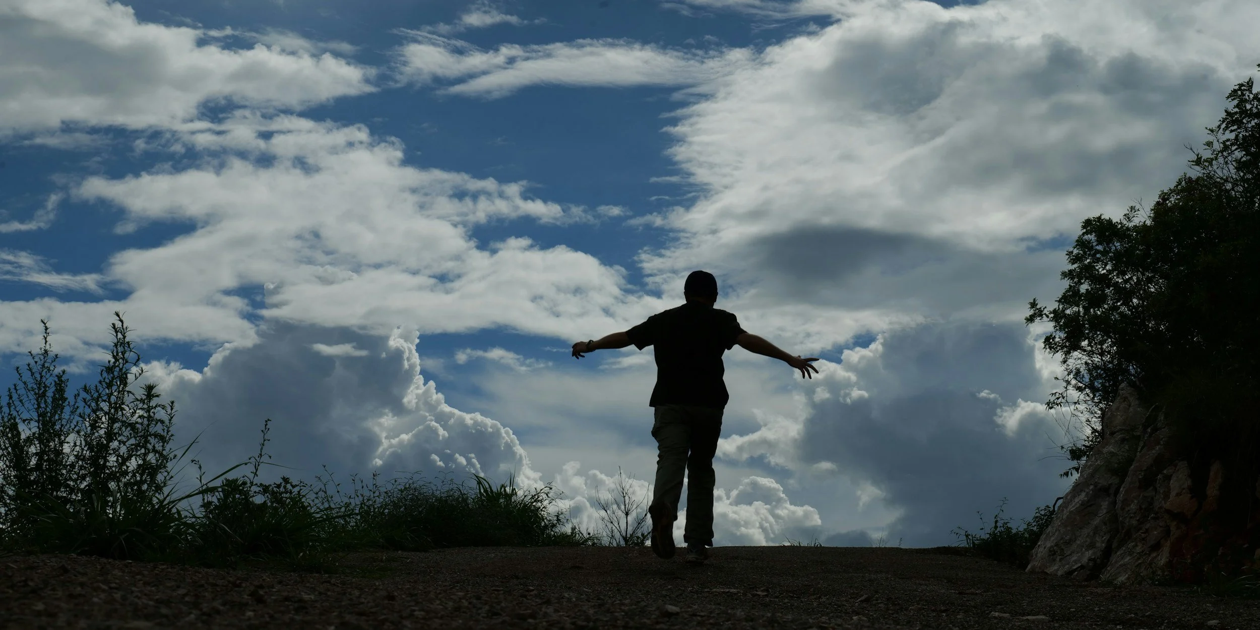 Open Arms