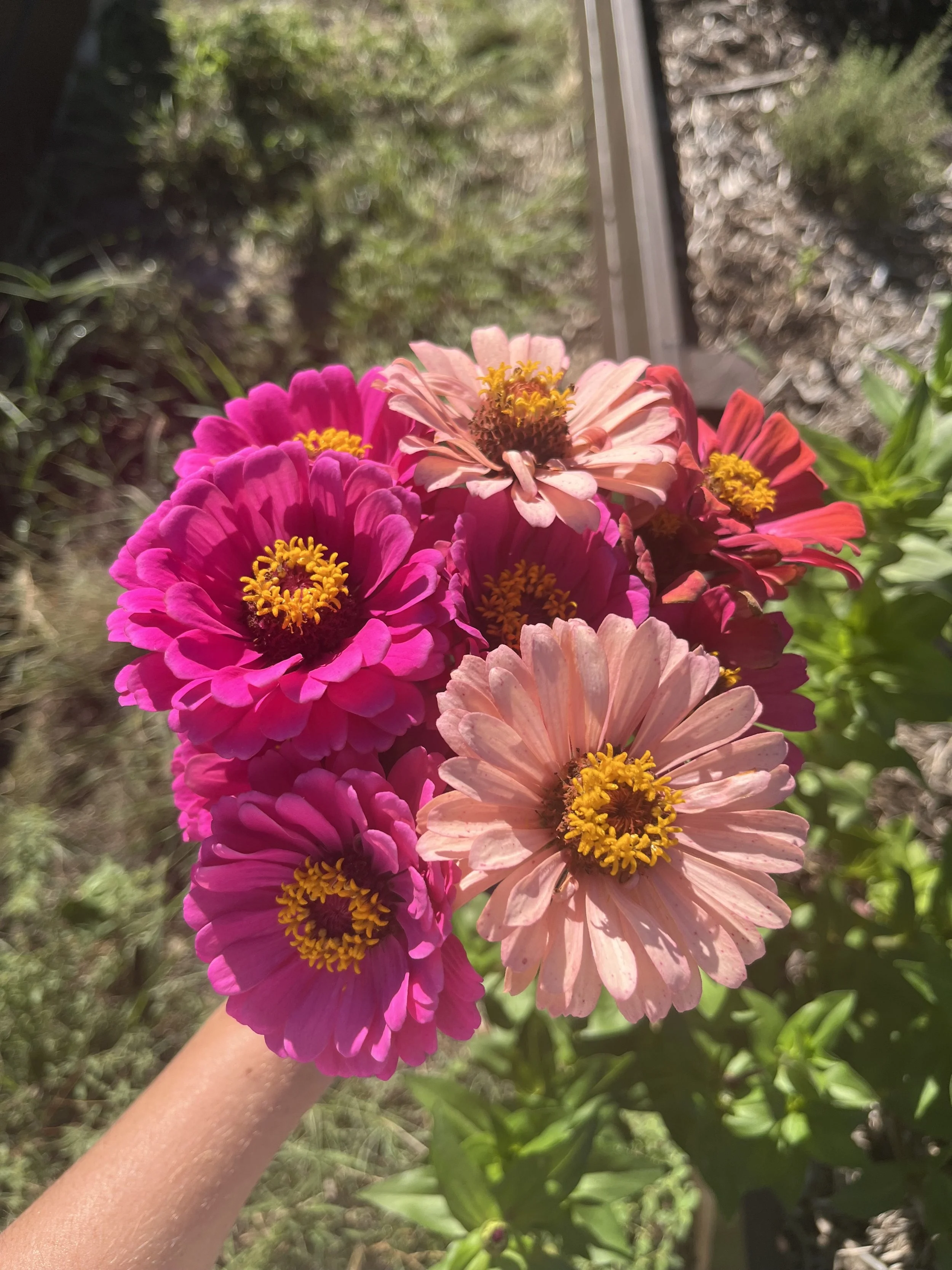 IMG_6420.jpeg