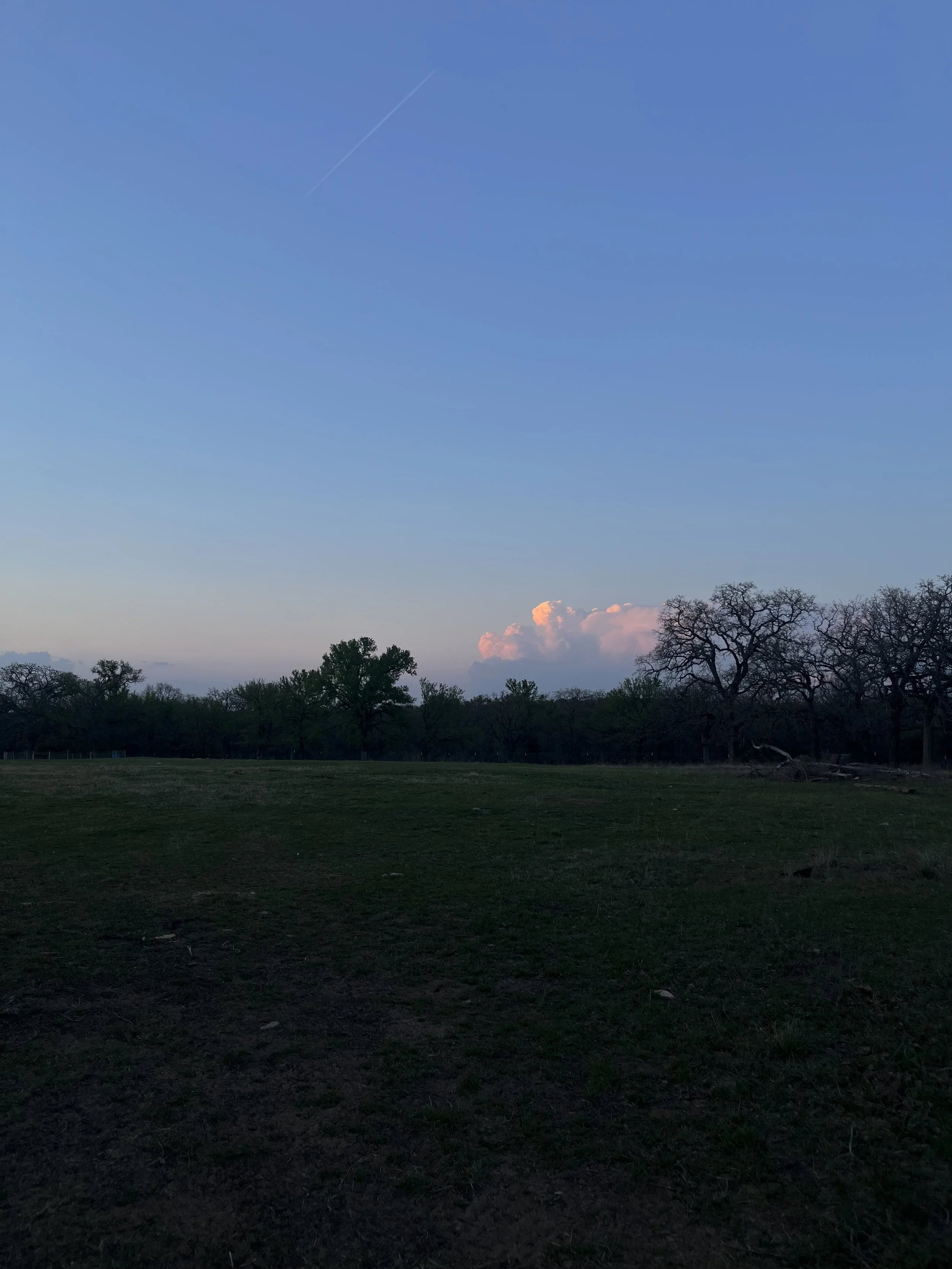 IMG_9011.jpeg