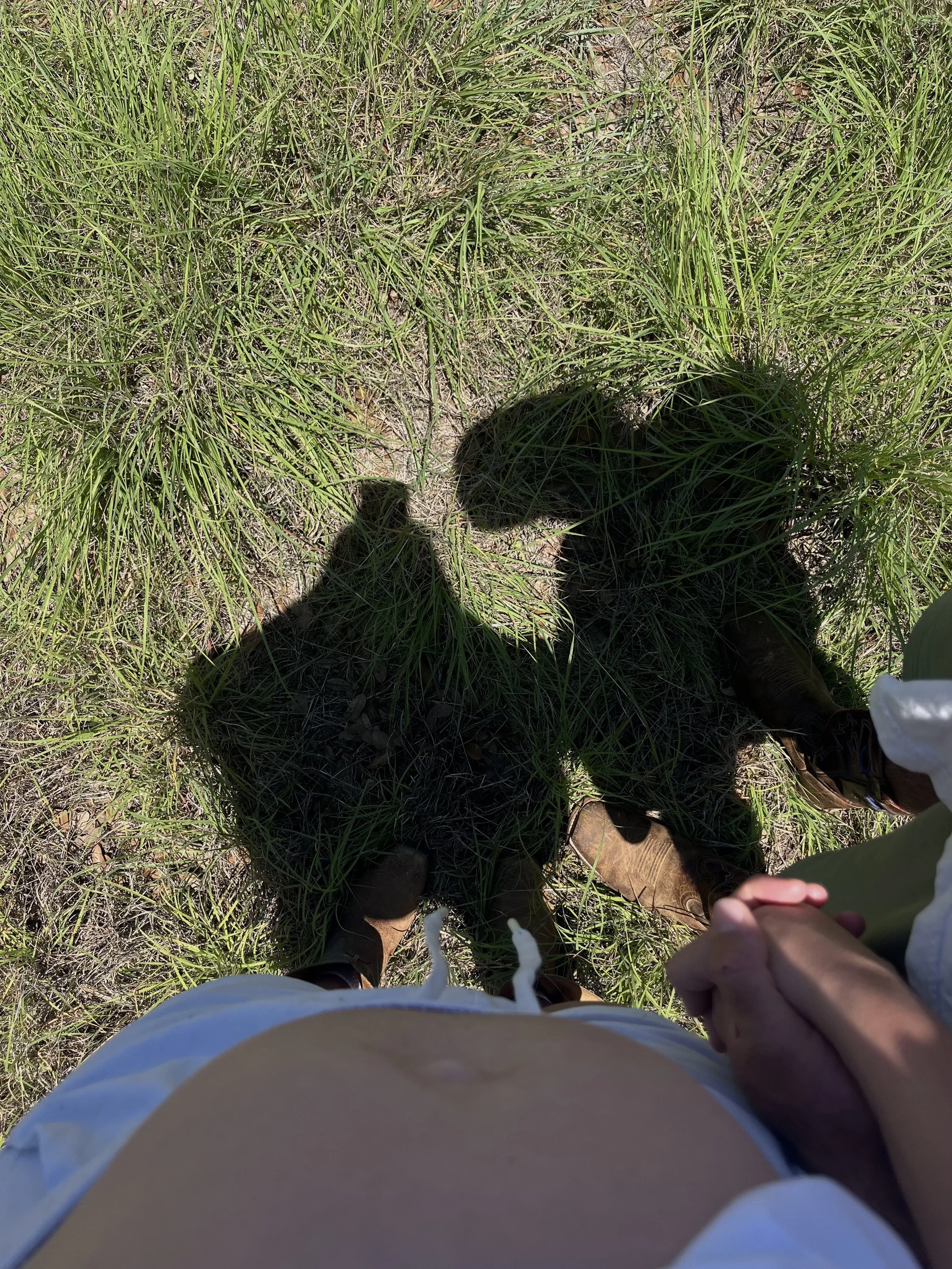 IMG_9588.jpeg