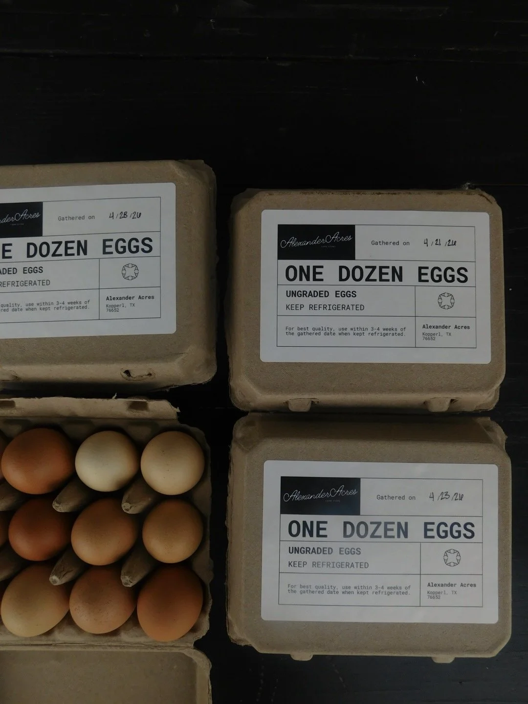 ONE DOZEN EGGS
