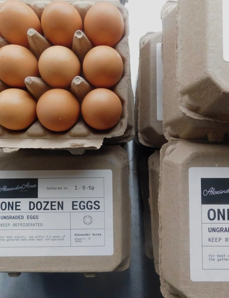 ONE DOZEN EGGS