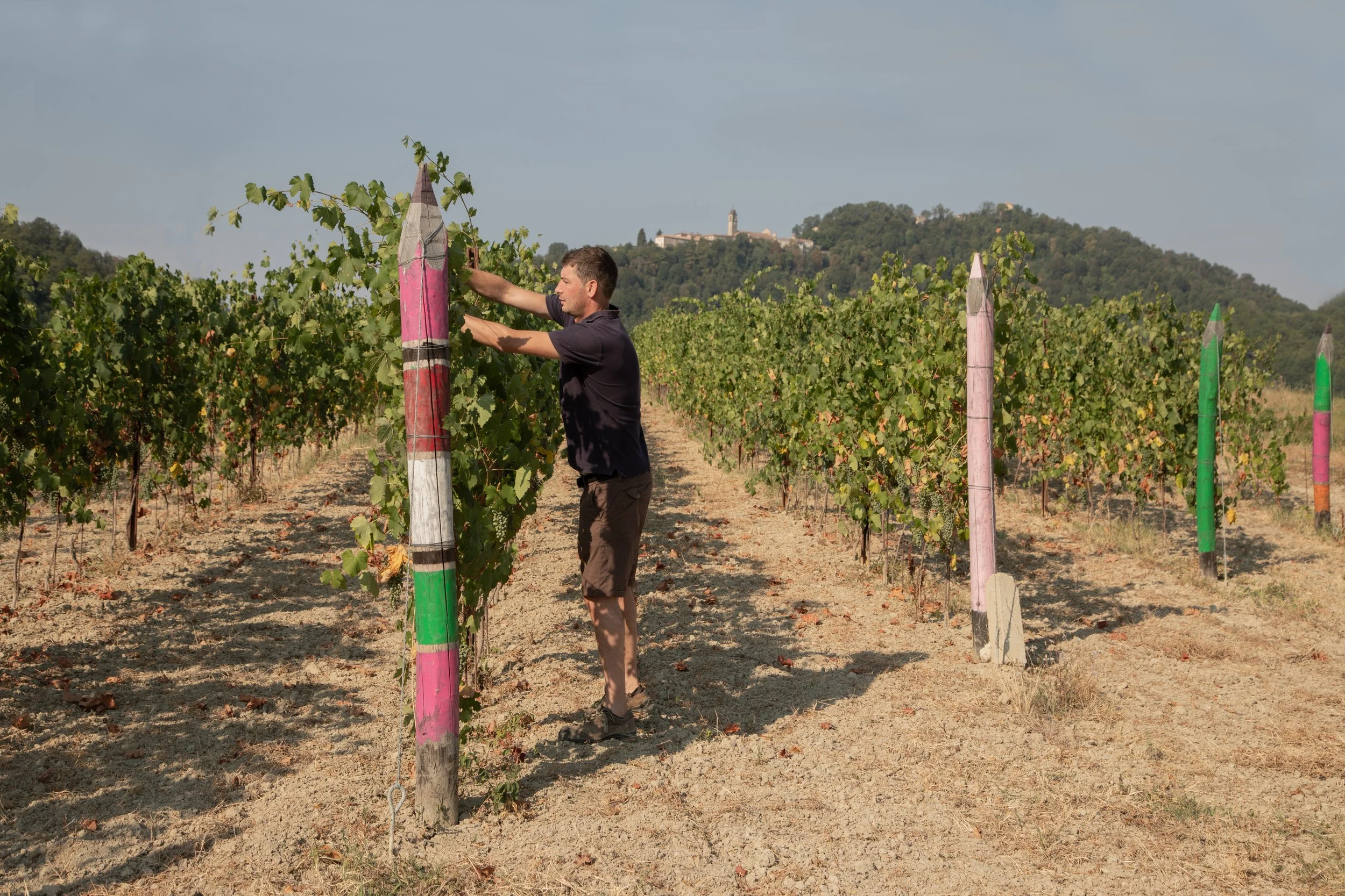 Monferrato, Piedmont Barbera Poggio Terra DOC