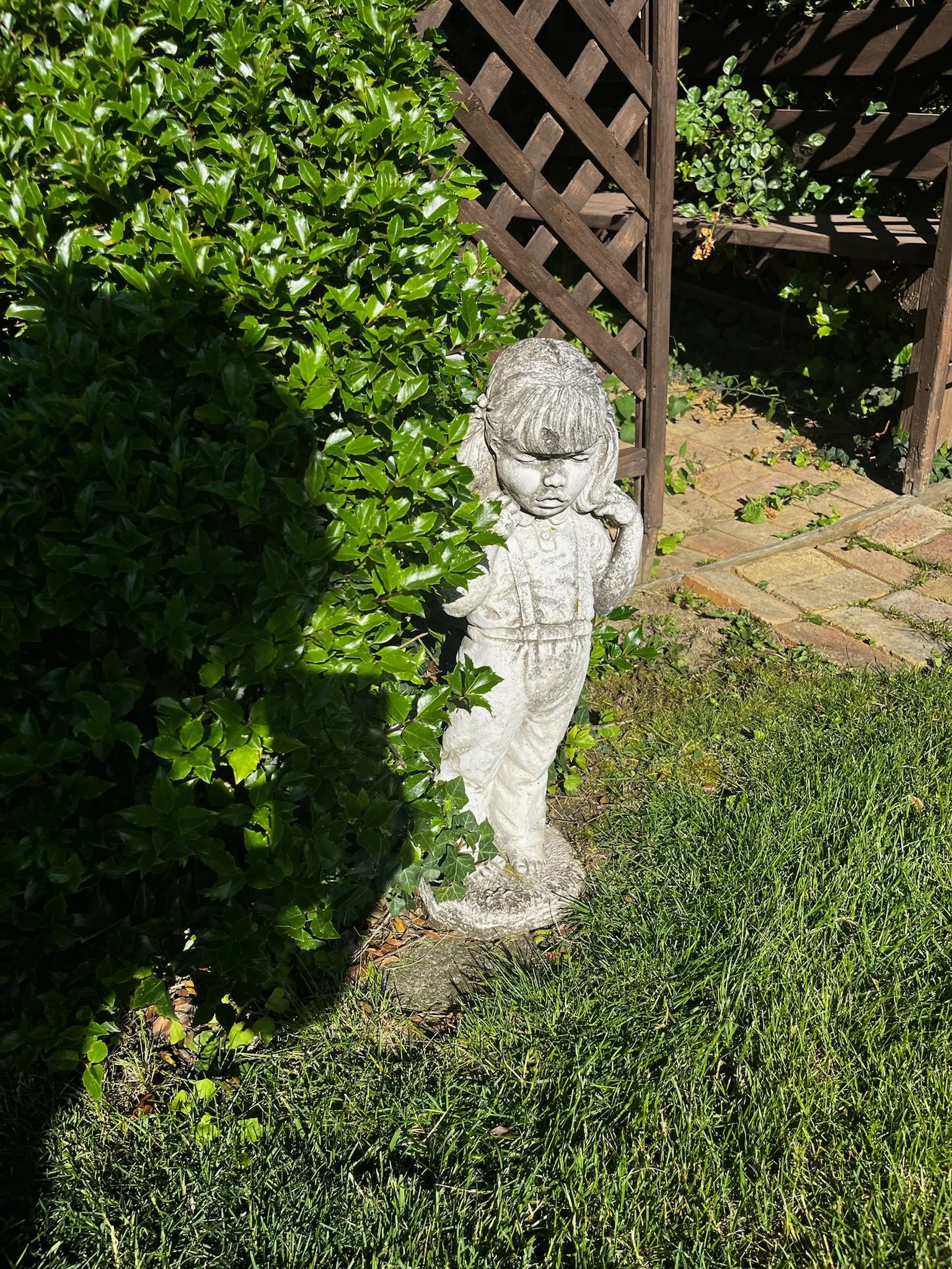 IMG_8349.JPG