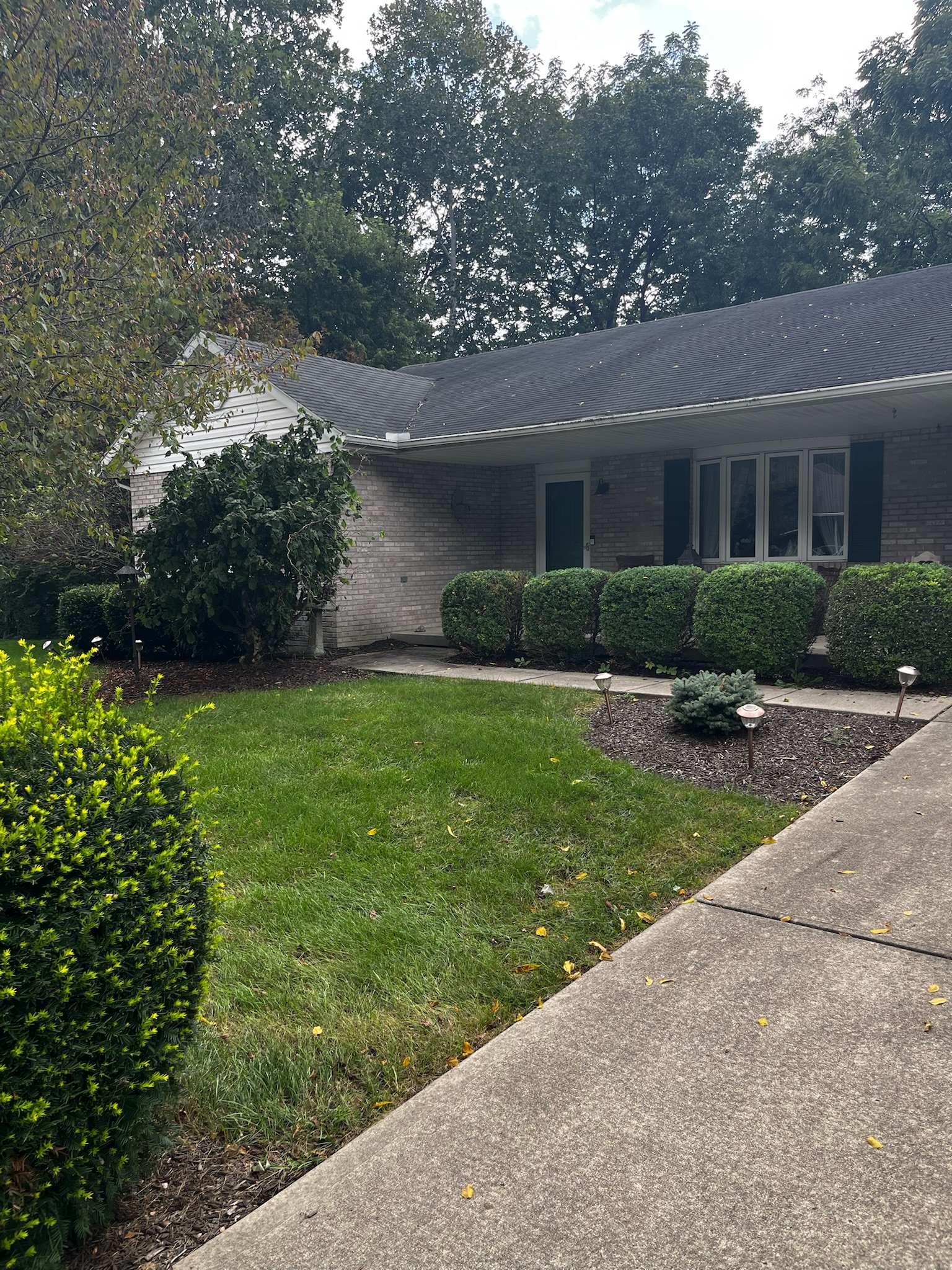 Lewisburg Estate Sale 