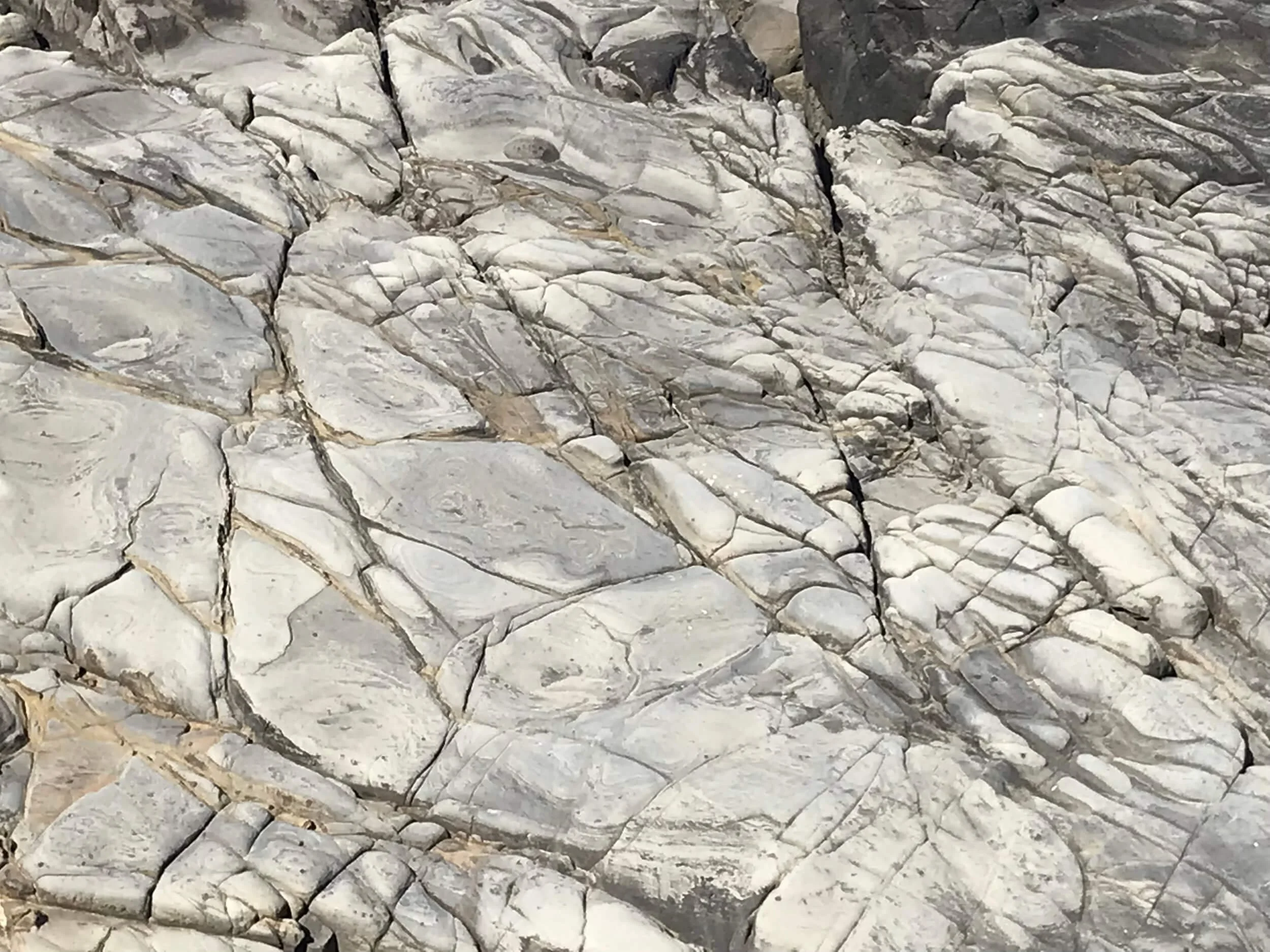 Rock with deep map-like groves mapping its history. East Bay trans & nonbinary competent therapy