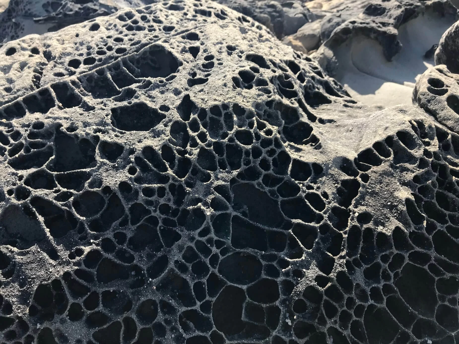 Sandy honeycomb coastal rock. Neurodivergent therapy for burnout & social anxiety. Online in Oakland