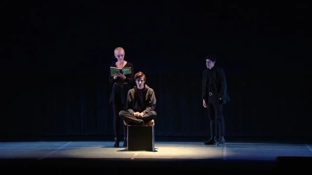 "The Curious Incident of the Dog and the Night-time": Showcase 2019