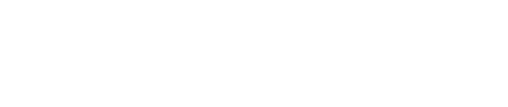 2024-25-NAIS-supporter-logo-reverse.png