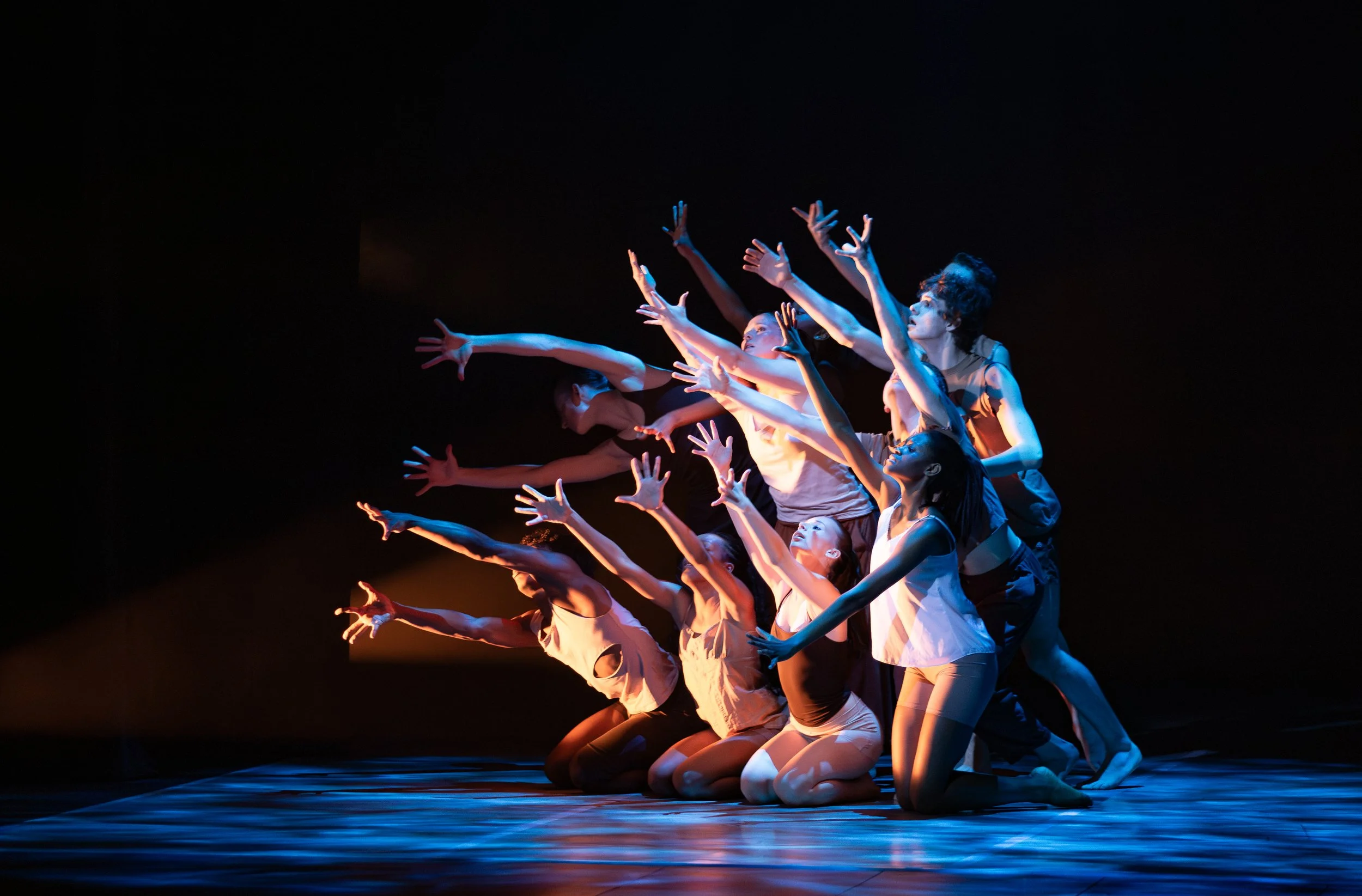 Senior Choreographed Dance Concert