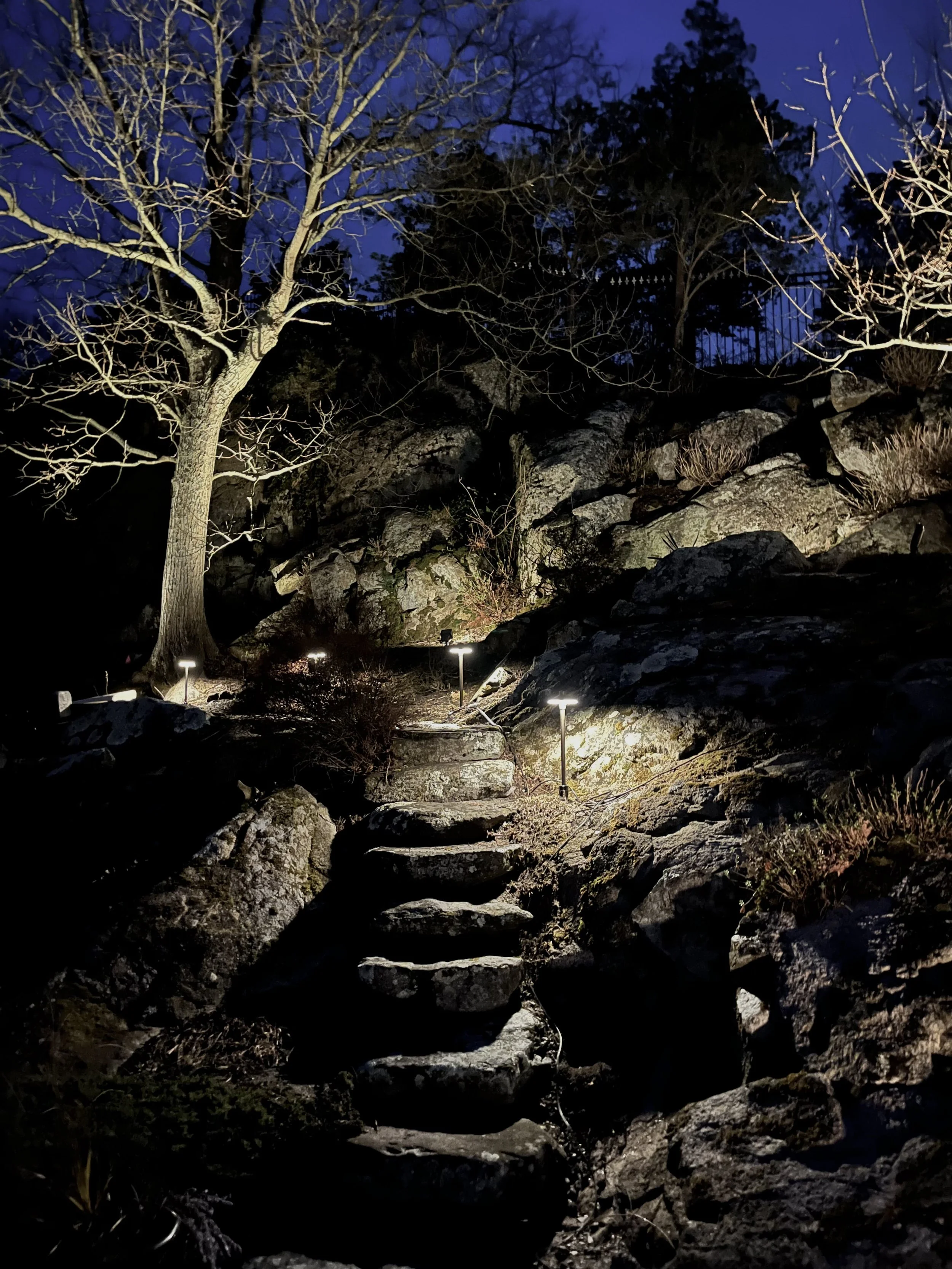 needham-landscape-lighting-rock-lighting.jpg