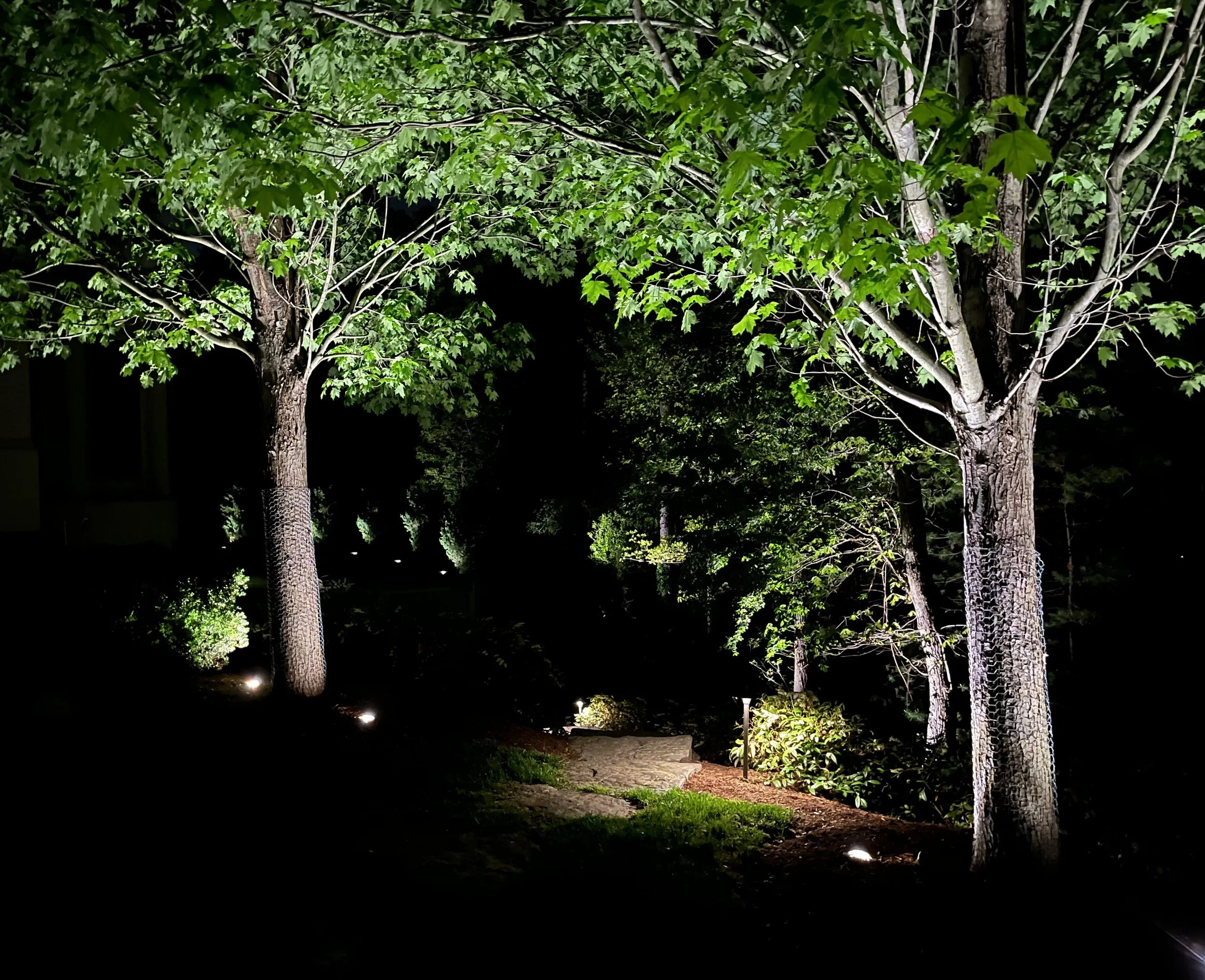 boston-massachusetts-weston-landscape-lighting-uplights-tree.jpg