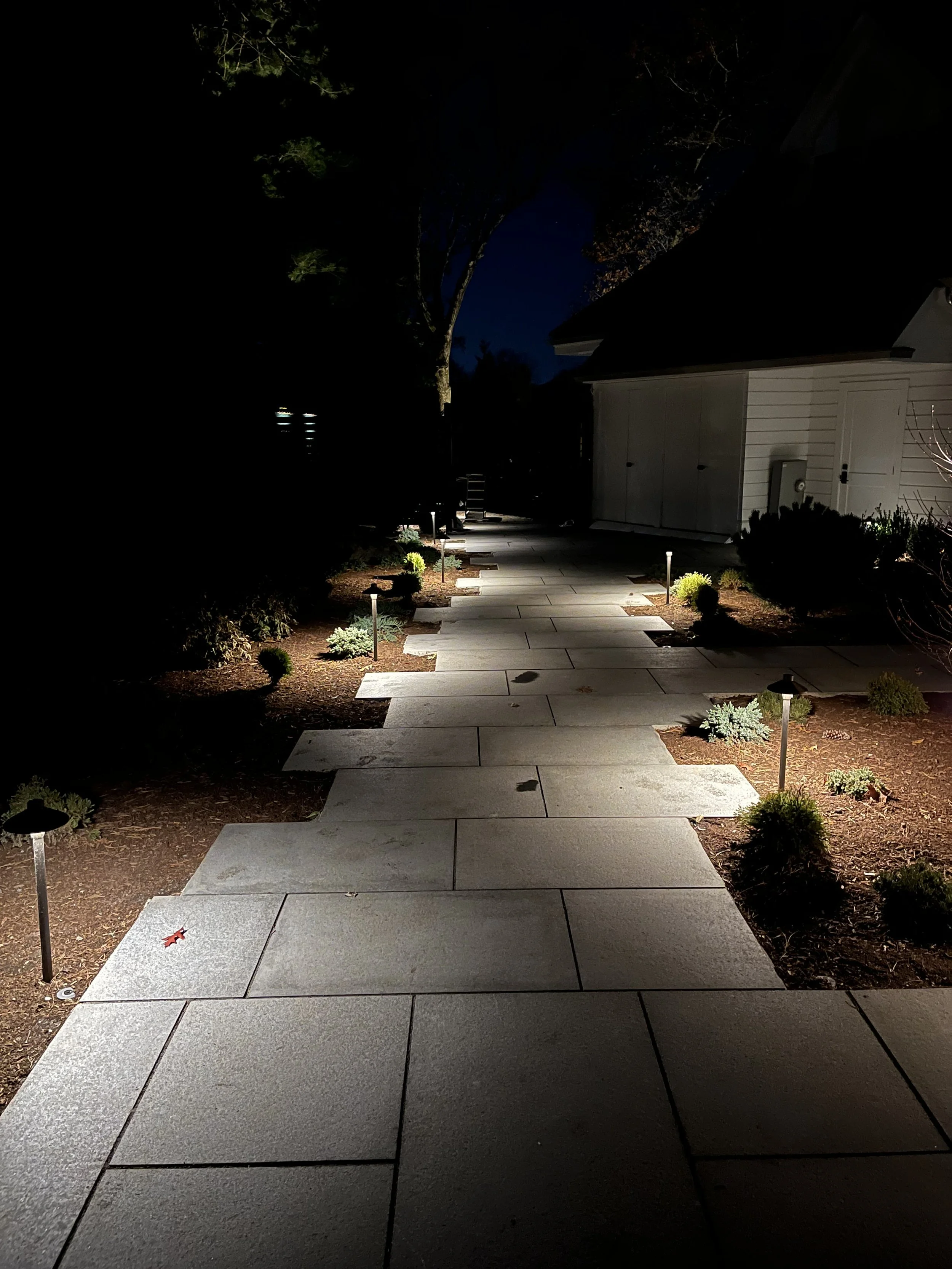 south-shore-landscape-lighting-pathlighting.jpg