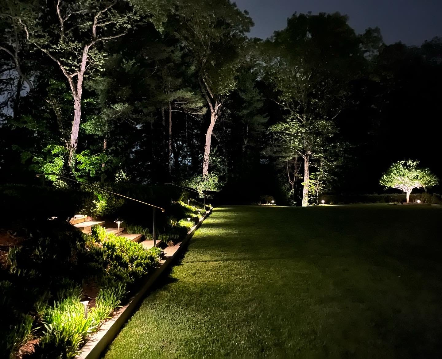 weston-landscape-lighting-tree-uplighting.JPG