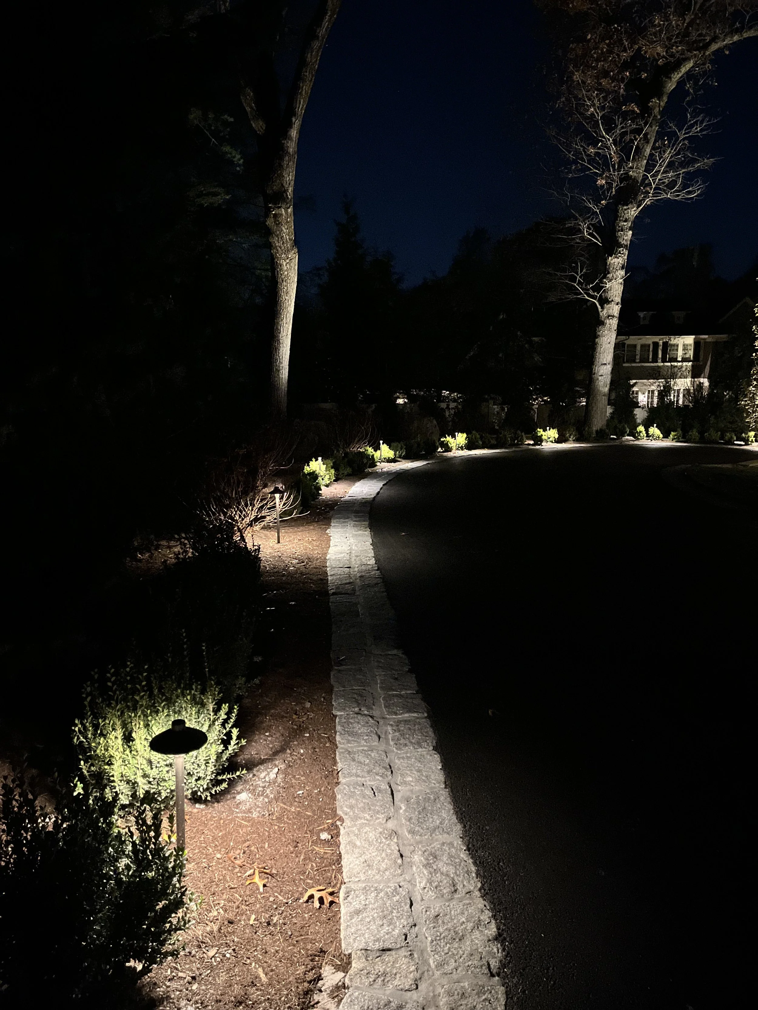 cambridge-landscape-lighting-tree-uplighting.jpg
