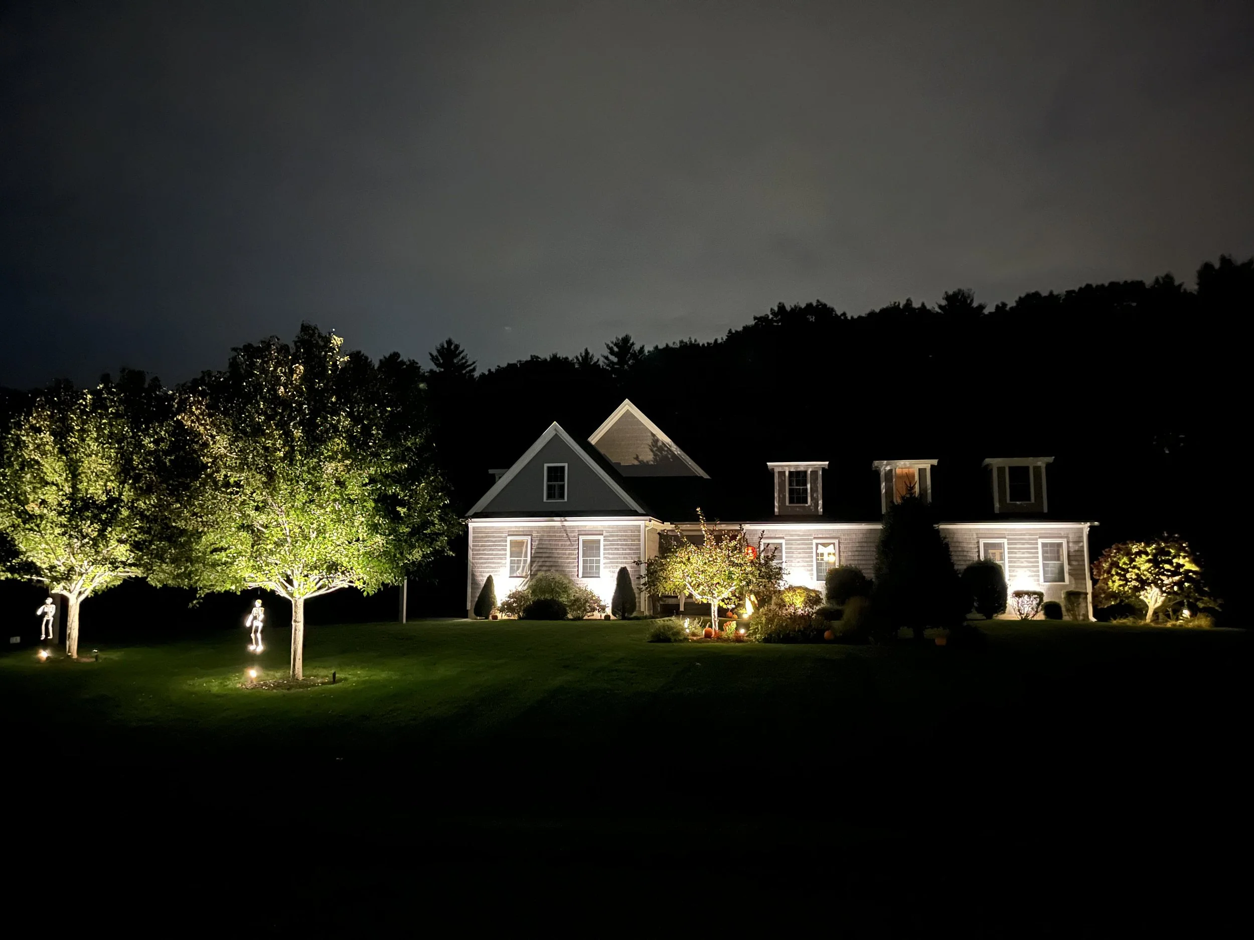 new-hampshire-landscape-lighting-tree-uplights-pathlights.jpg