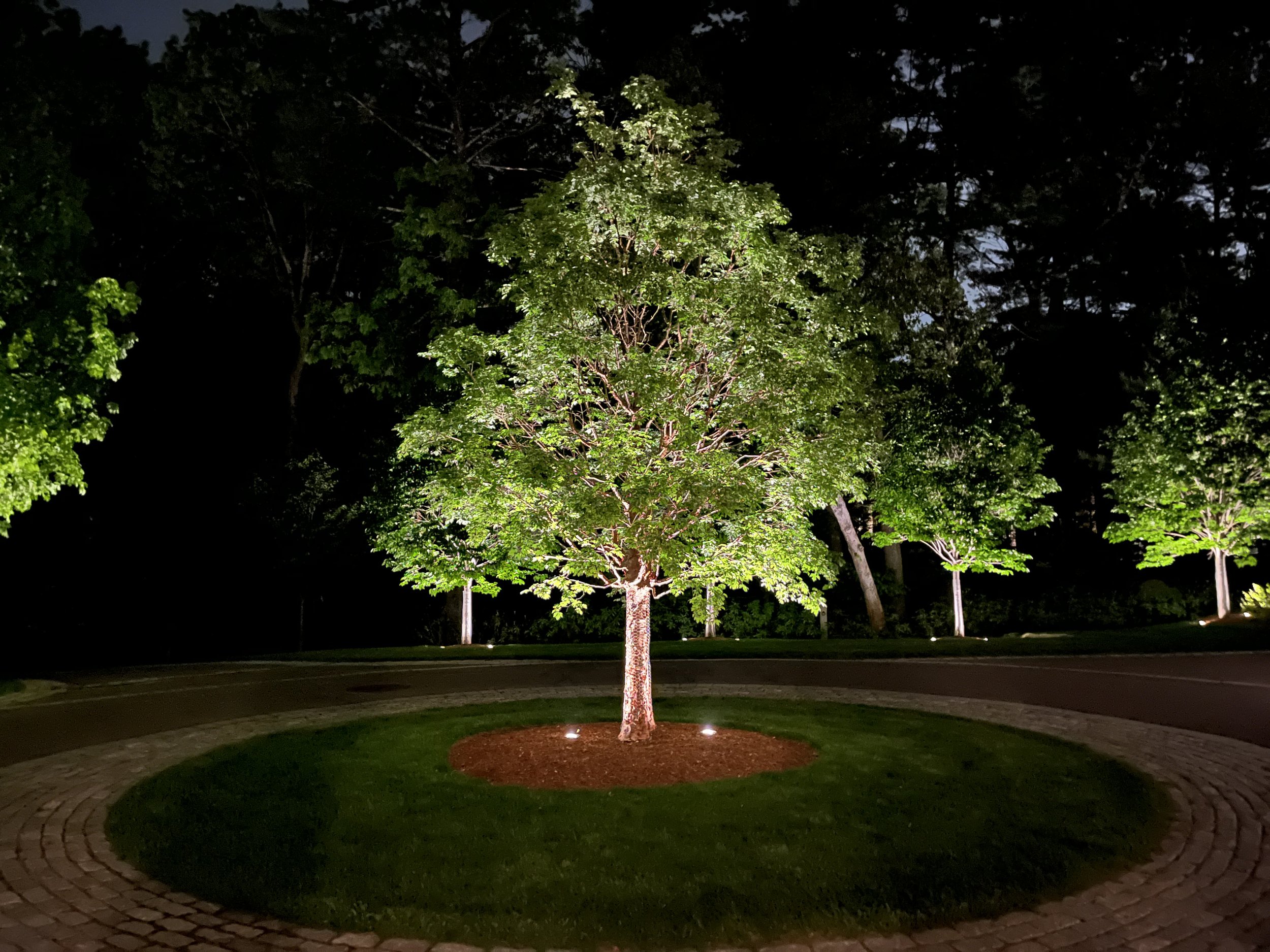 weston-landscape-lighting-lights-tree-up-lights-boston.jpg