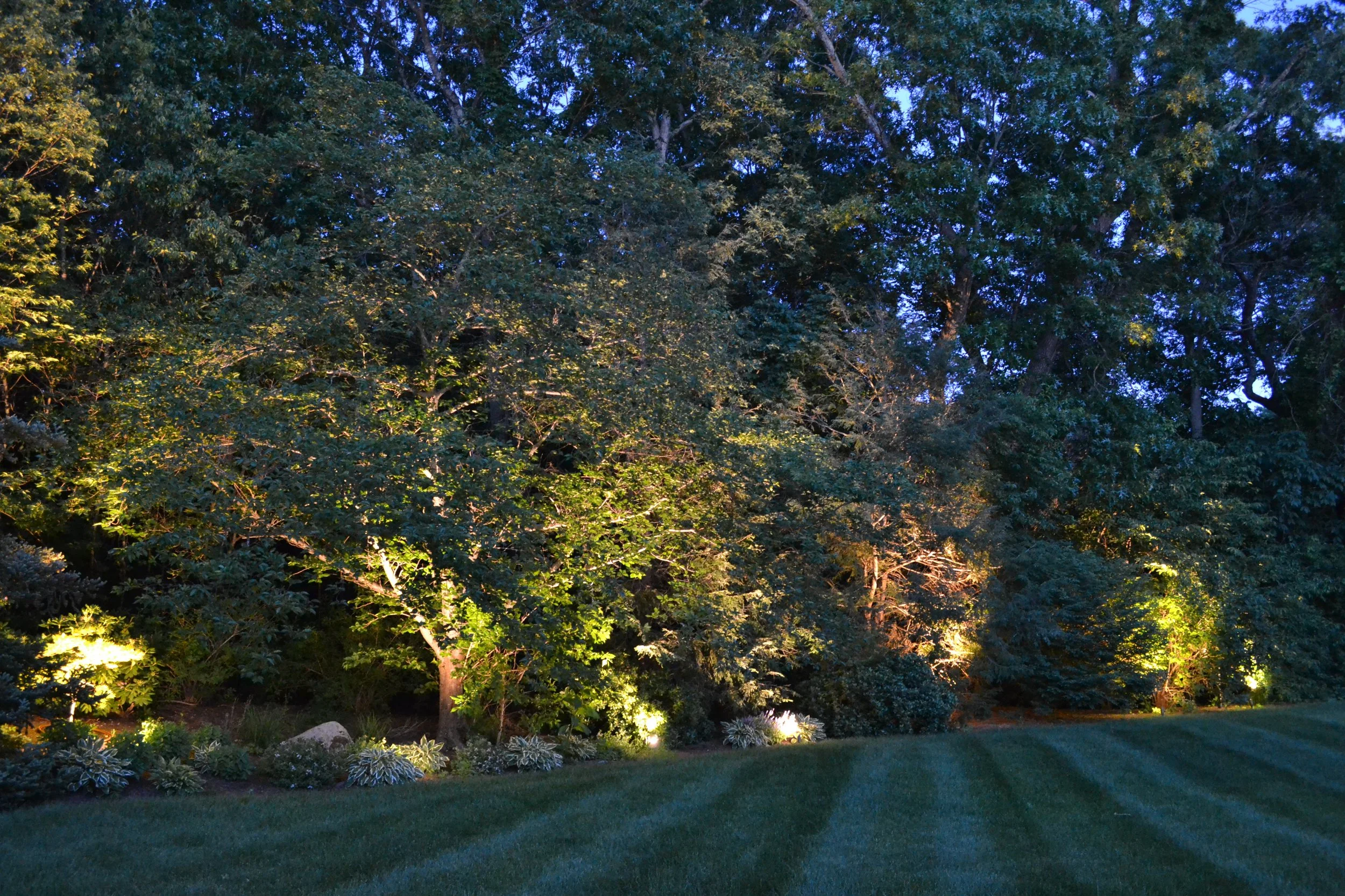 hingham-landscape-lighting-tree-uplighting.JPG