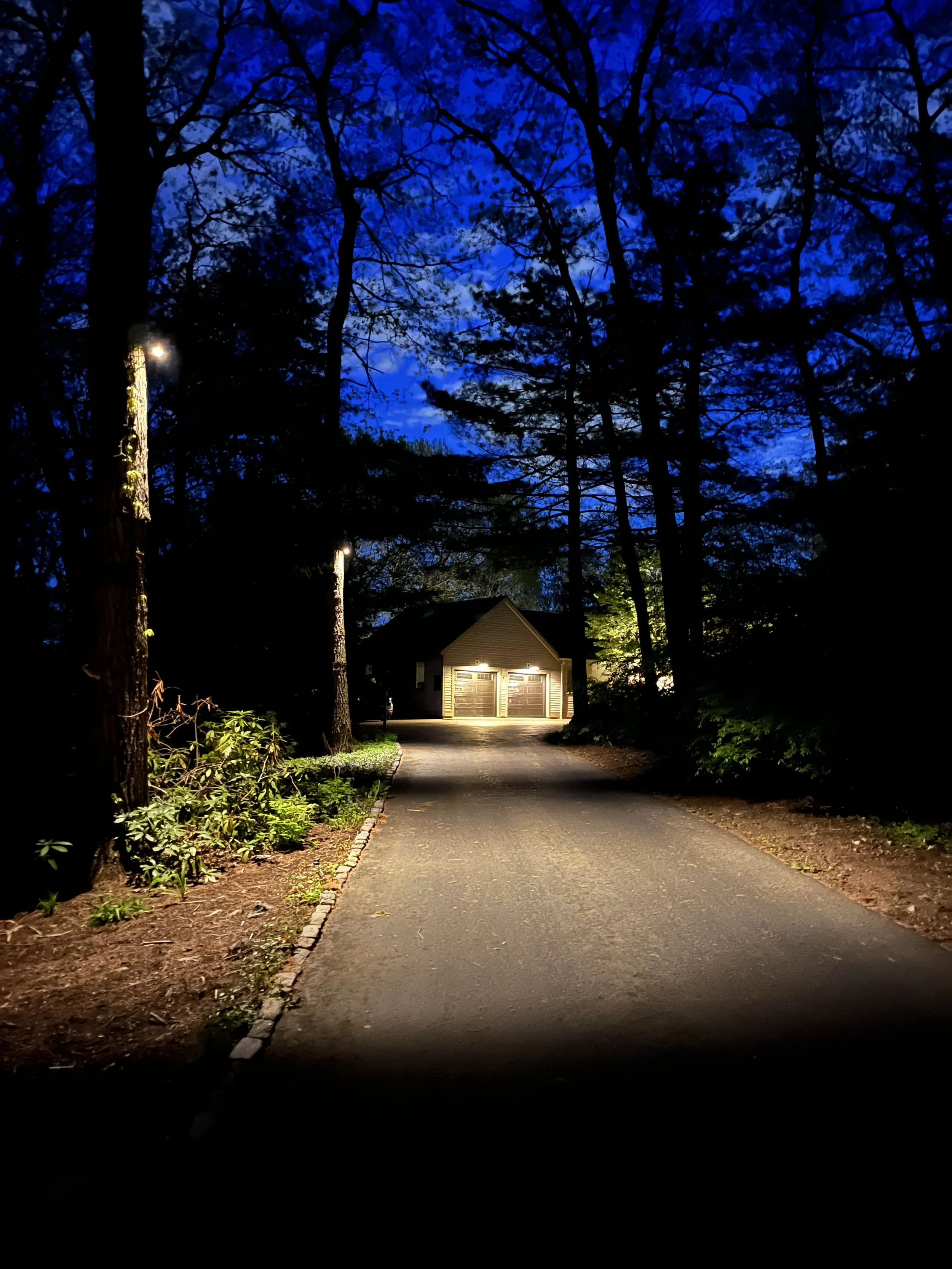 weston-landscape-lighting-down-lights.jpg
