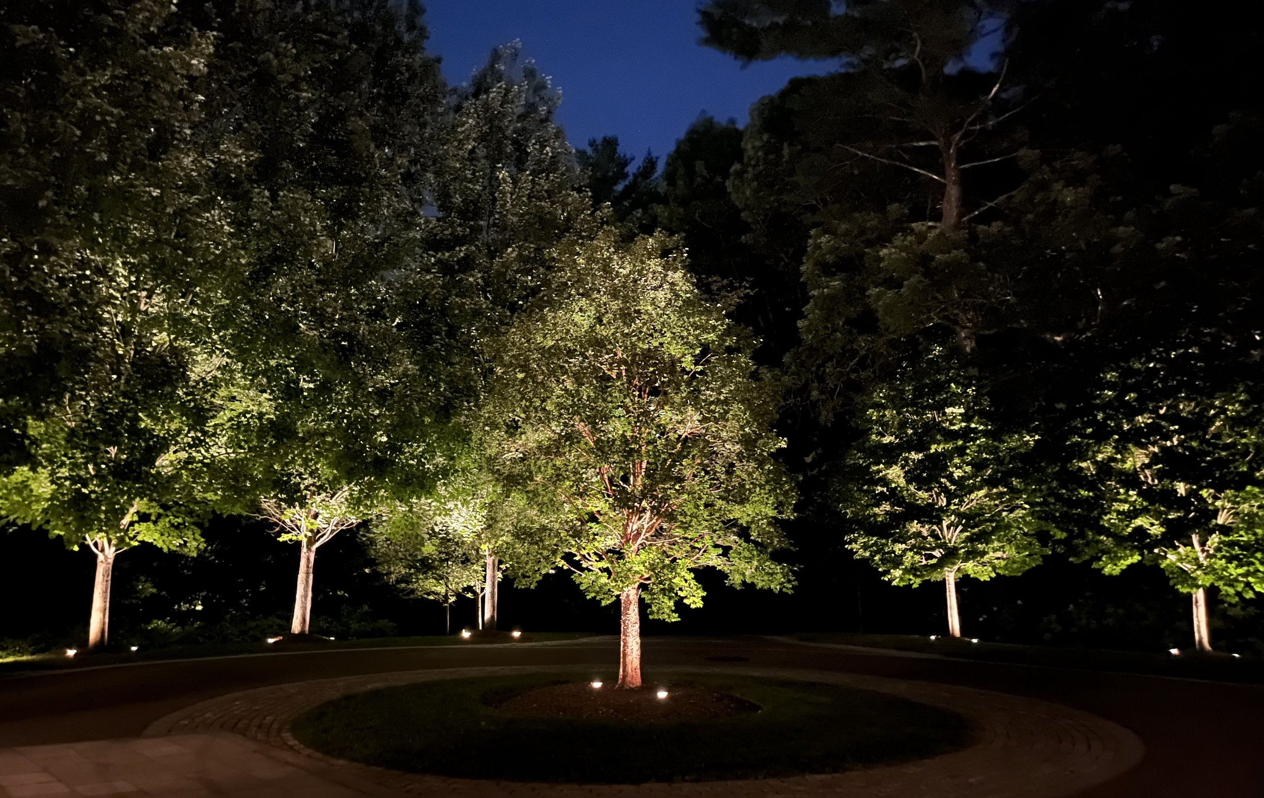patio-landscape-lighting-backyard-uplights-tree.jpg