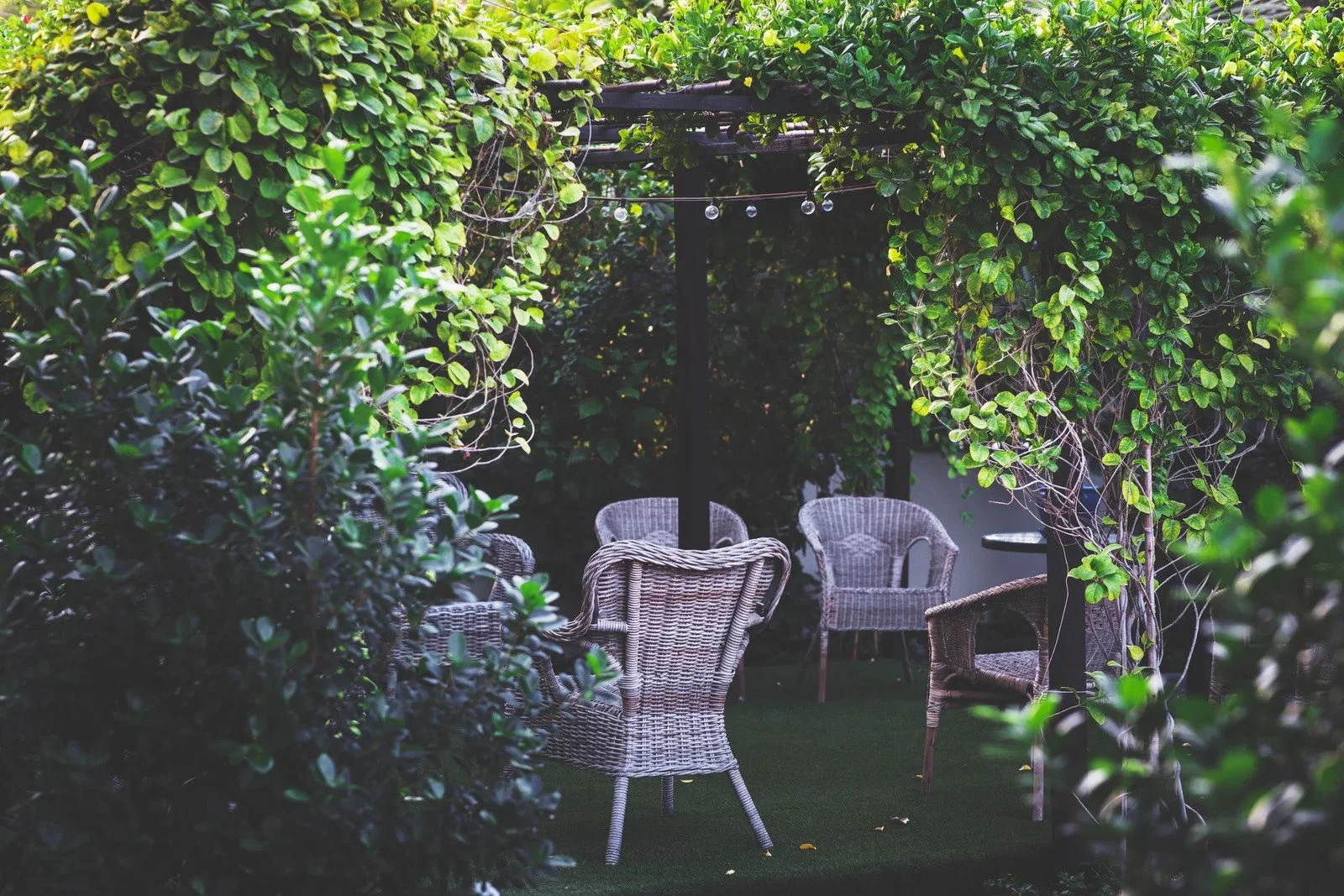Winter Landscaping in Virginia: Plants That Keep Your Yard Alive