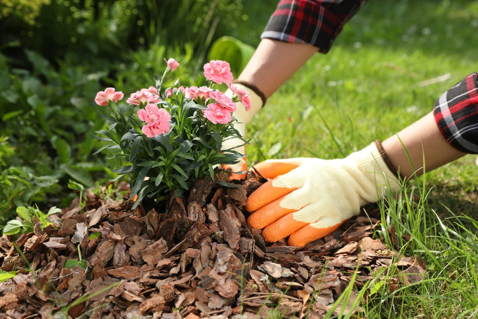 Boost Curb Appeal Fast: The Ultimate Guide to Mulch