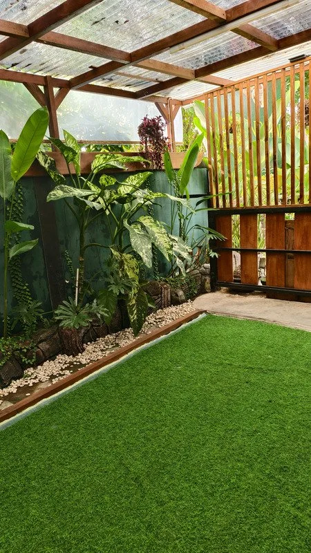 Your Guide to Creating a Secluded, Stylish Backyard