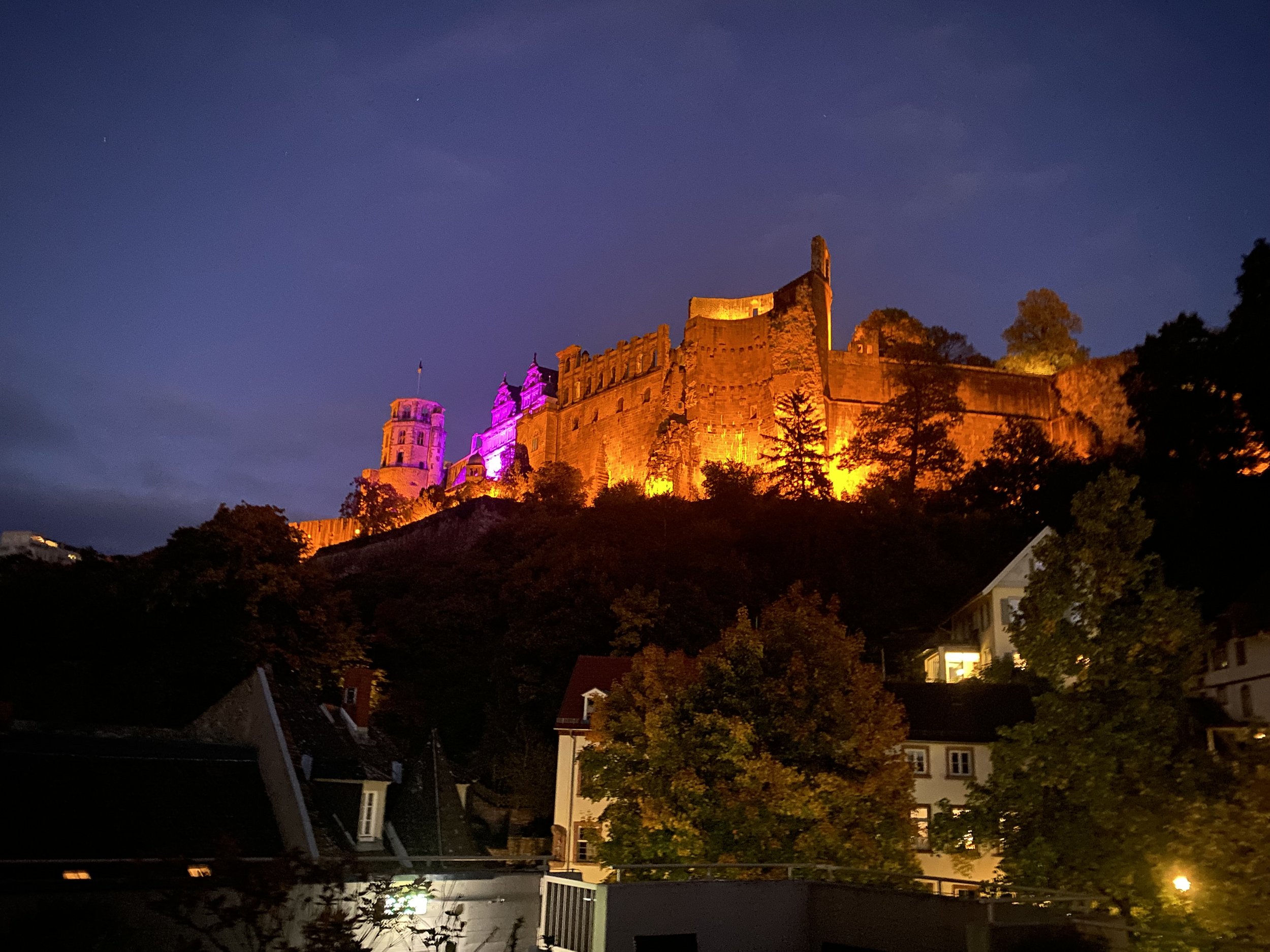 From Castles to Culture: Leadership Treasures Unearthed