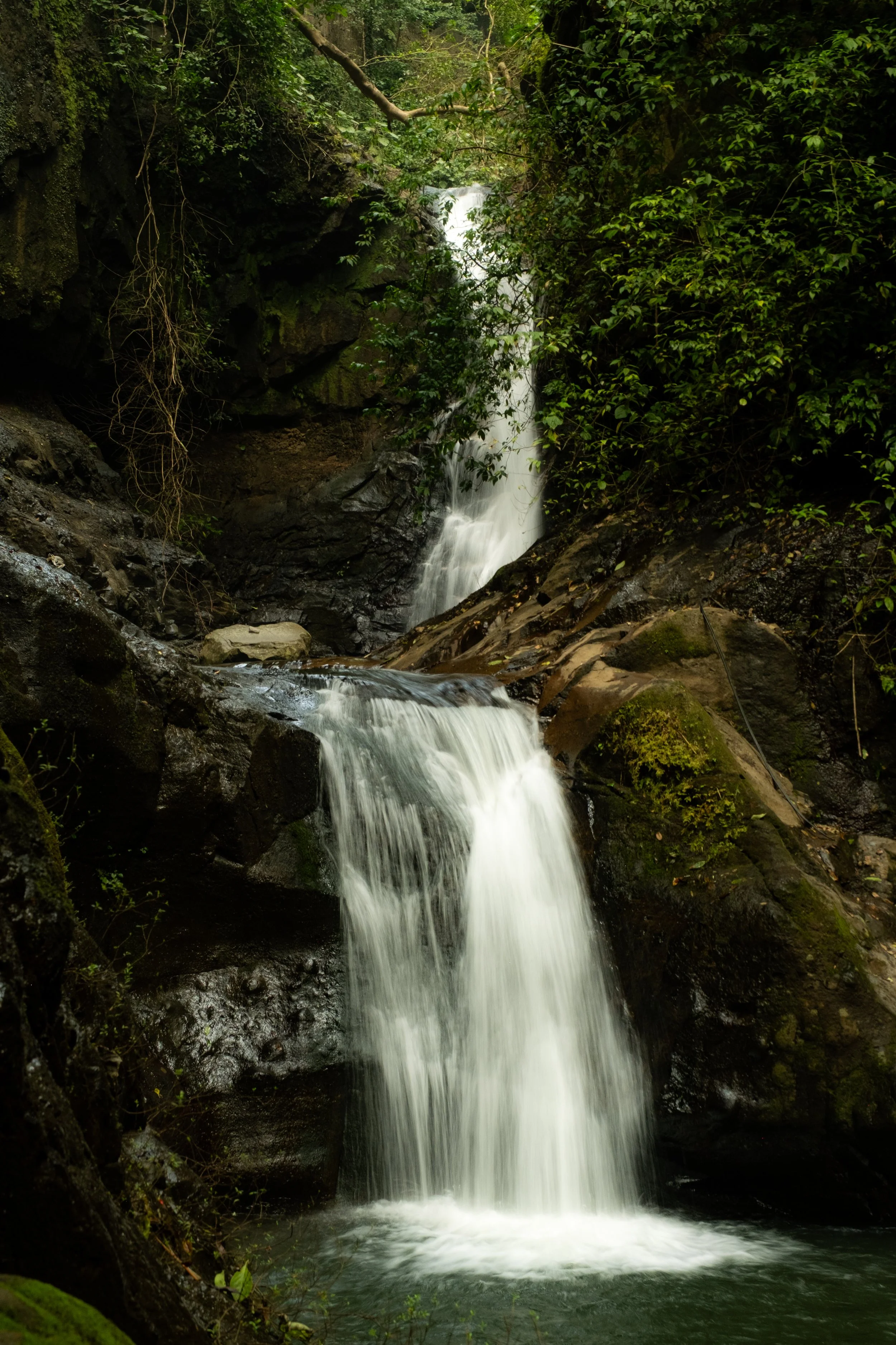 Copy of _DSF6792.jpg