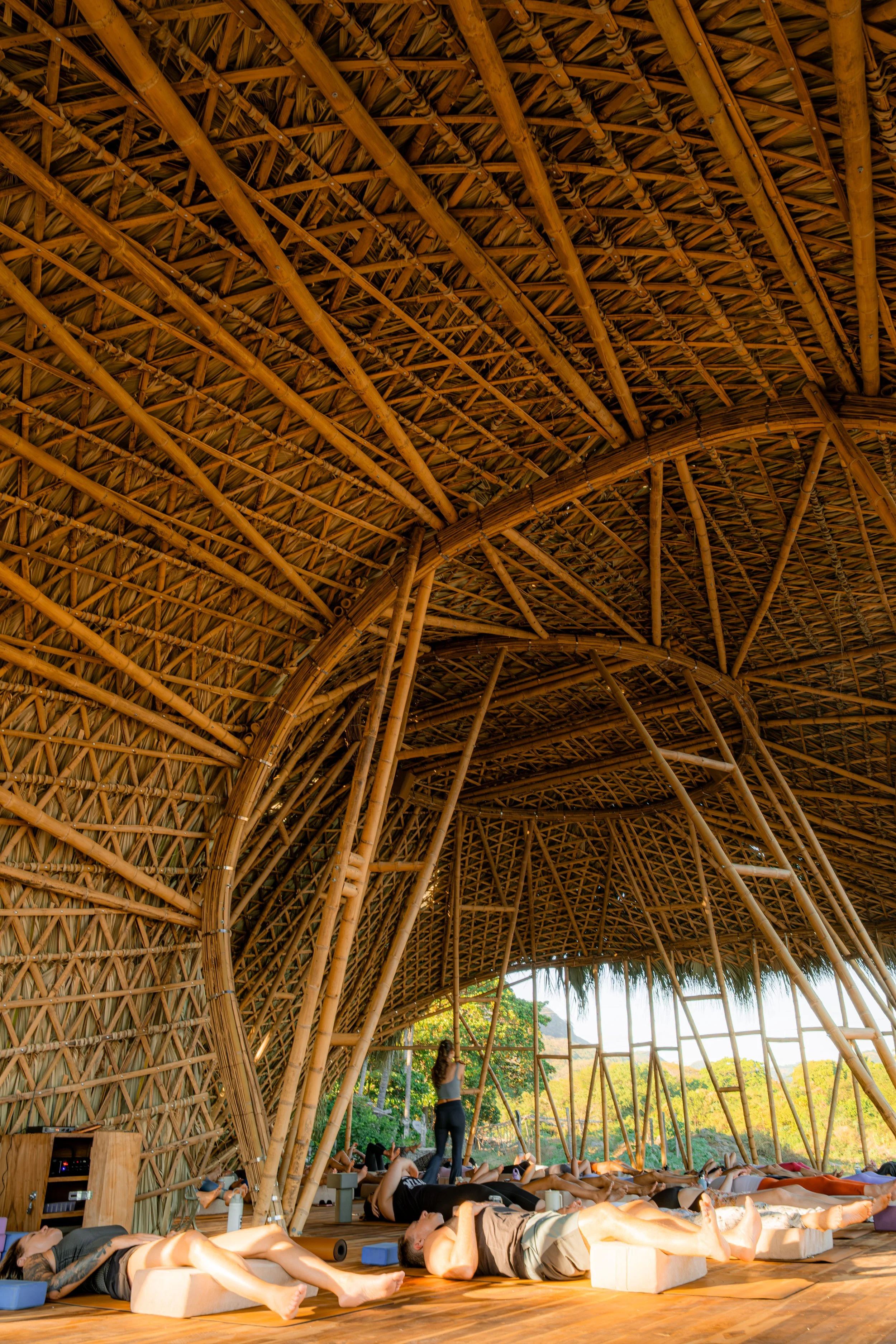 Copy of Copy of _DSF8143.jpg