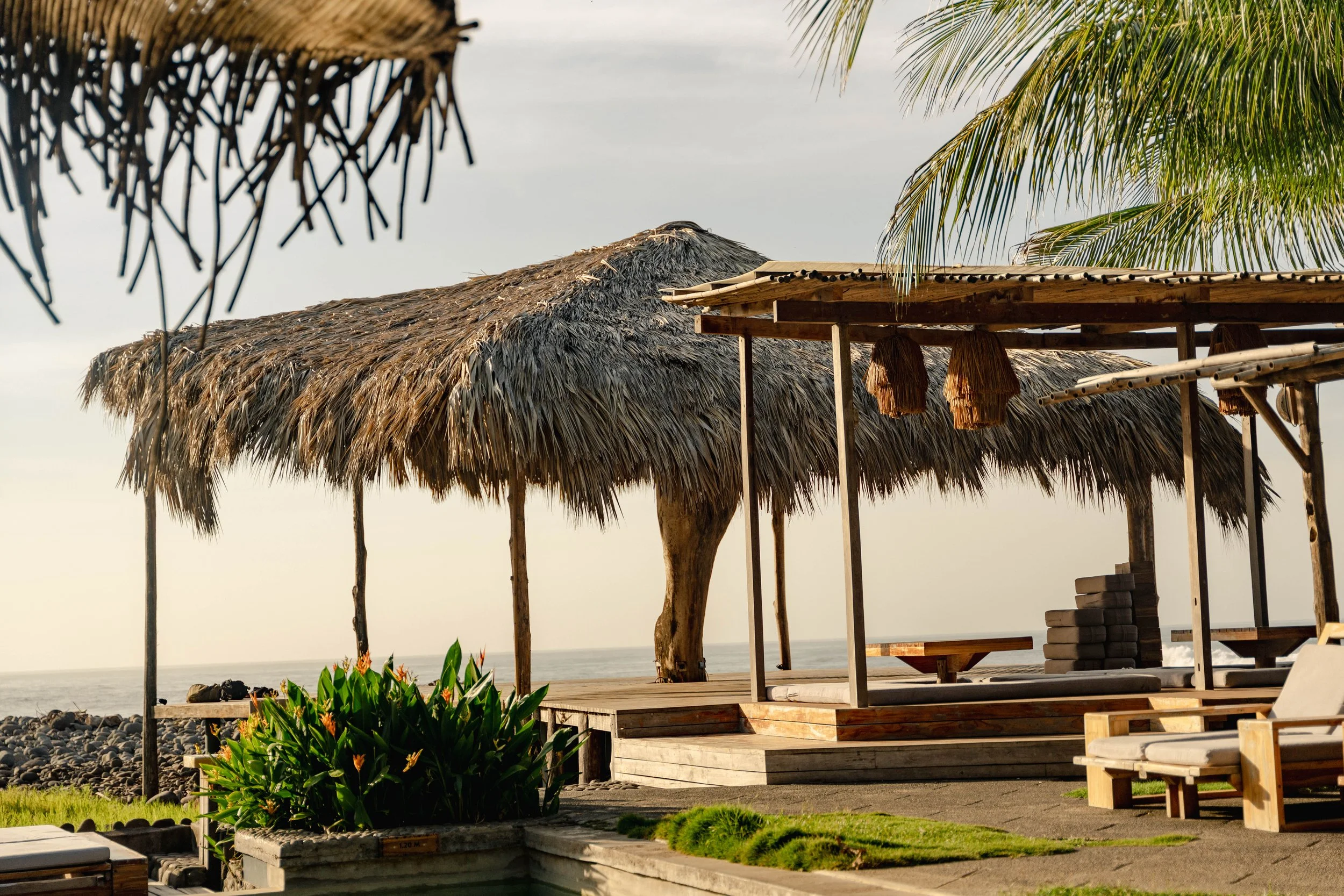 Copy of Copy of Copy of DSC04692-yoga-shala-new.jpg