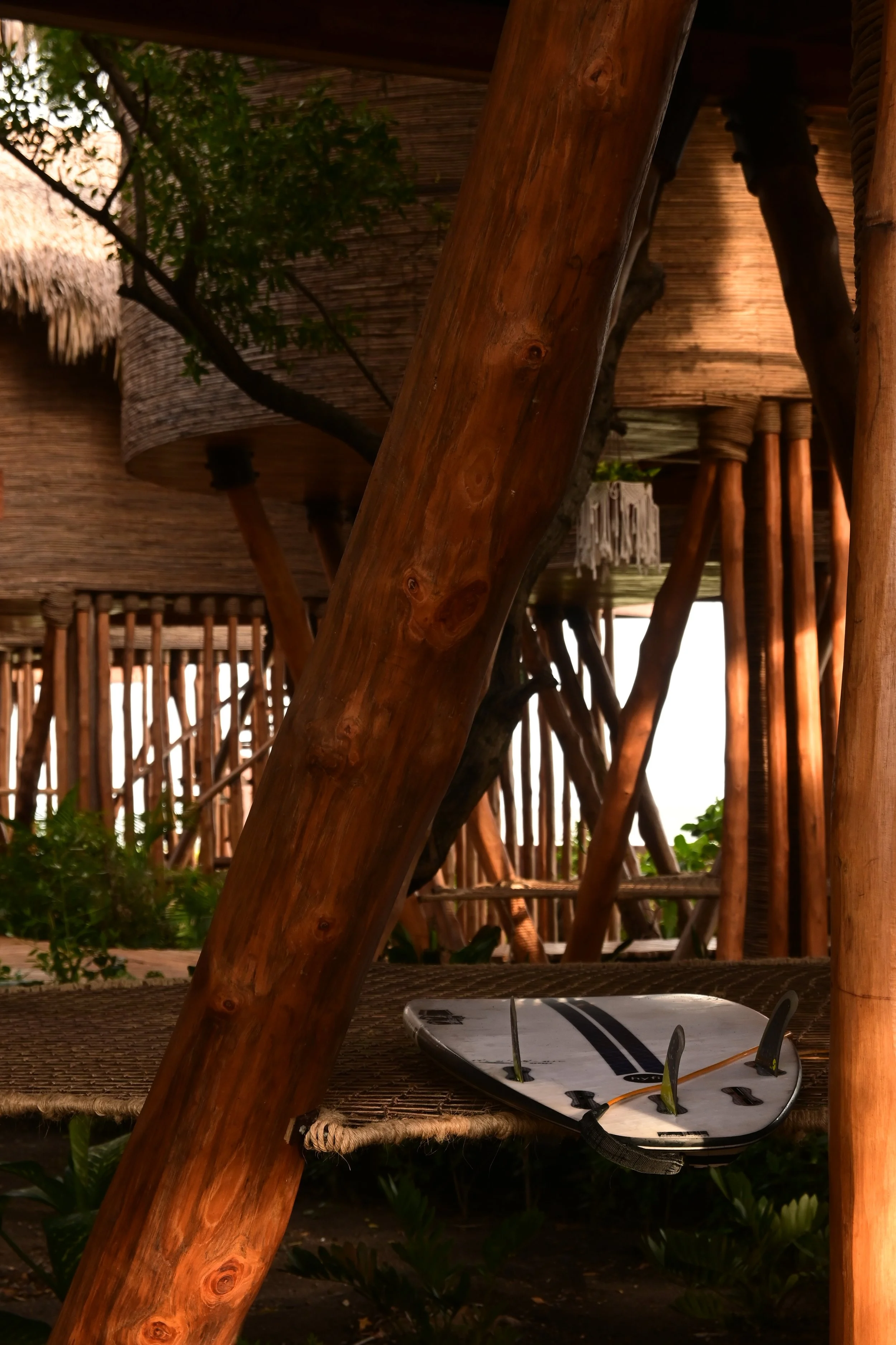 Copy of Copy of Copy of Copy of Copy of Z50_5680-tree-house-surf-board.jpeg