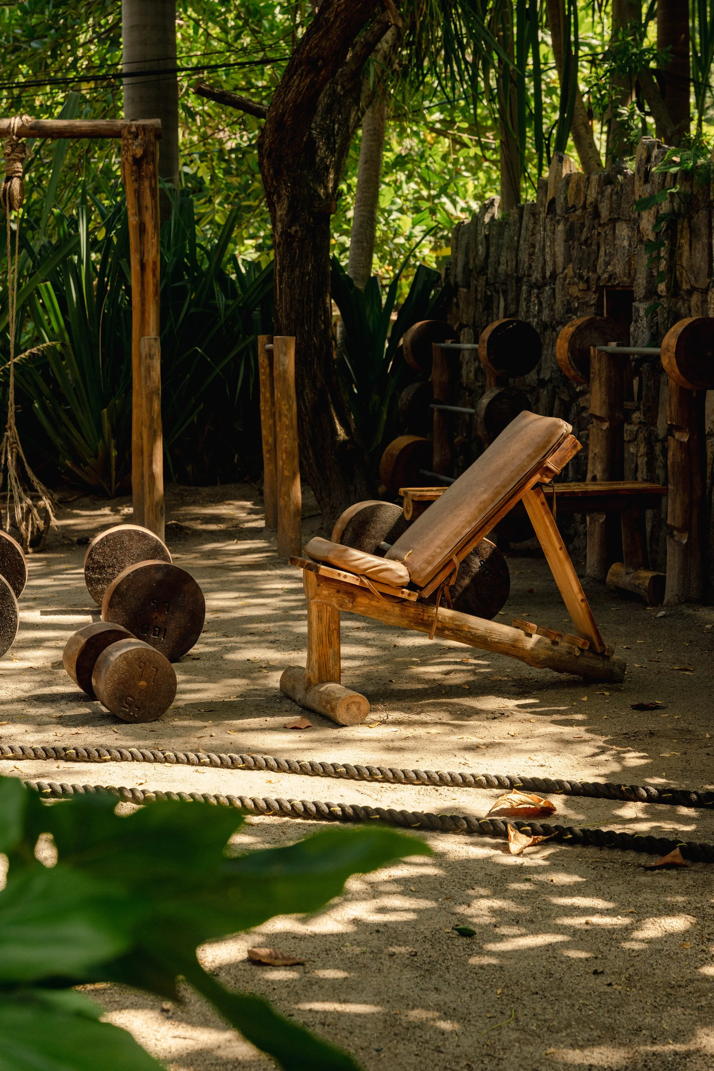 Copy of Copy of Copy of DSC04772-junglegym.jpg