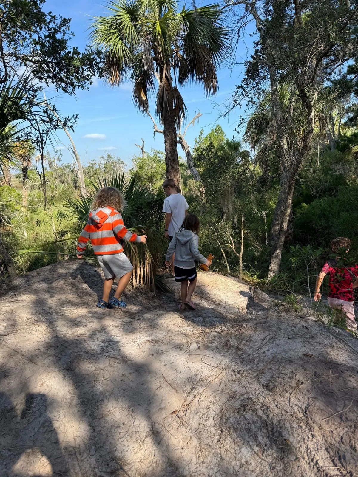 WhatsApp Image 2025-11-19 at 09.27.16_36b29f7b.jpg