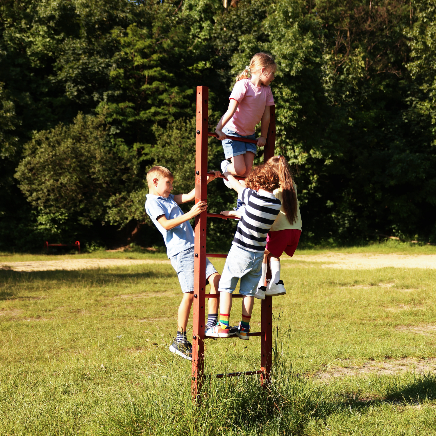 Images for the Winter Nature Camp (3).png